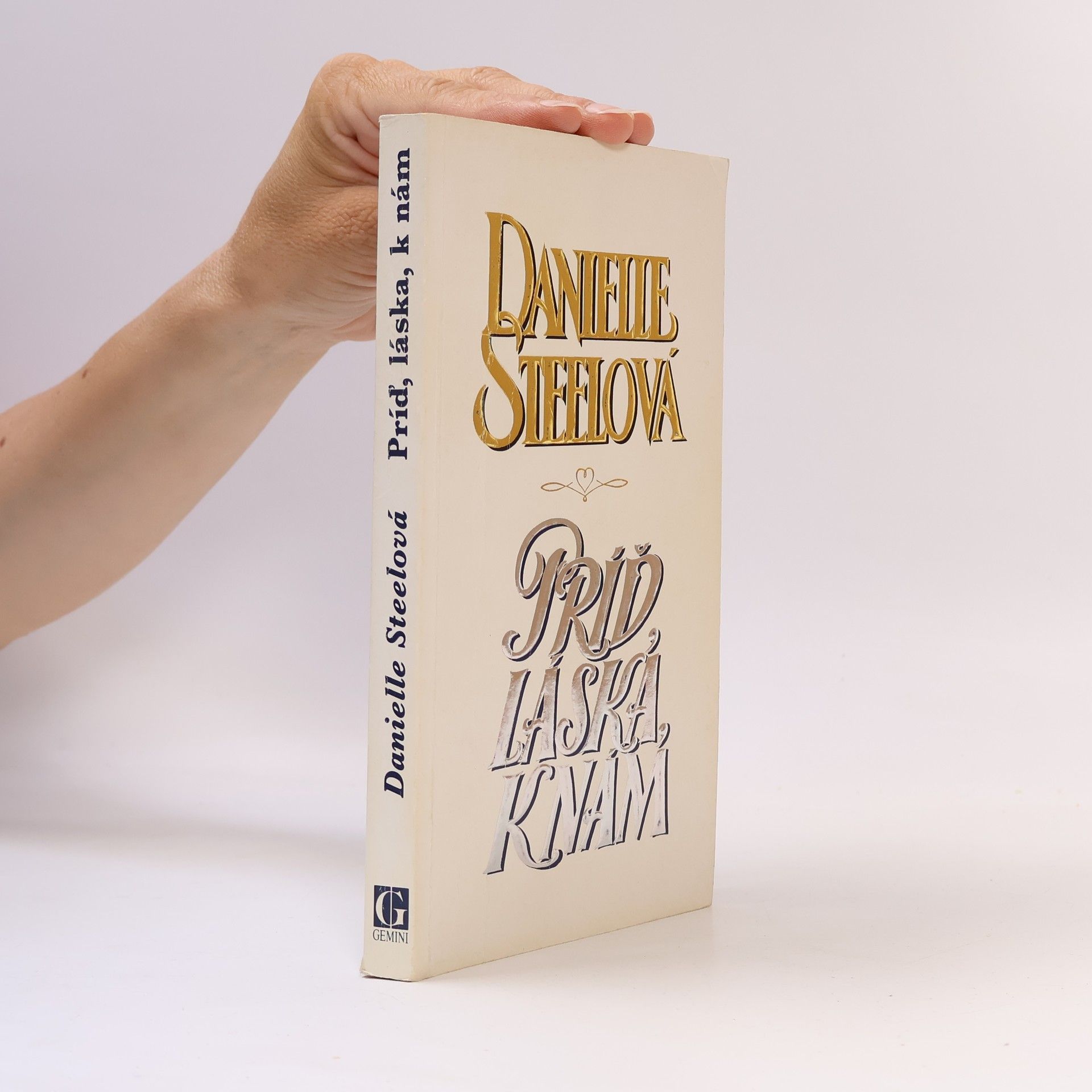 Danielle Steelová Príď, láska k nám