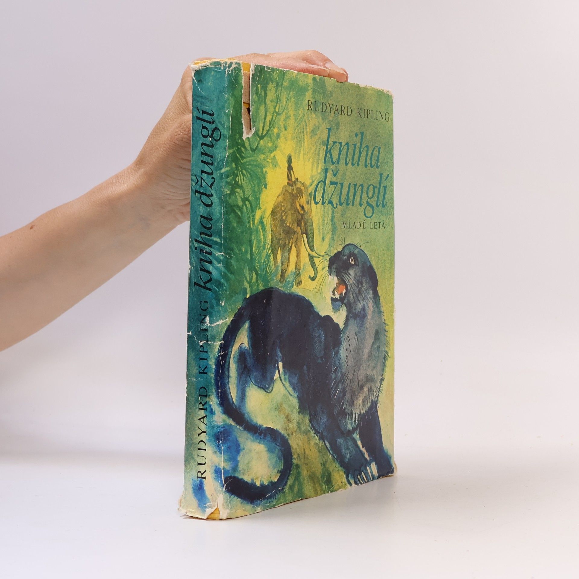 Rudyard Kipling Kniha džunglí I.-II.