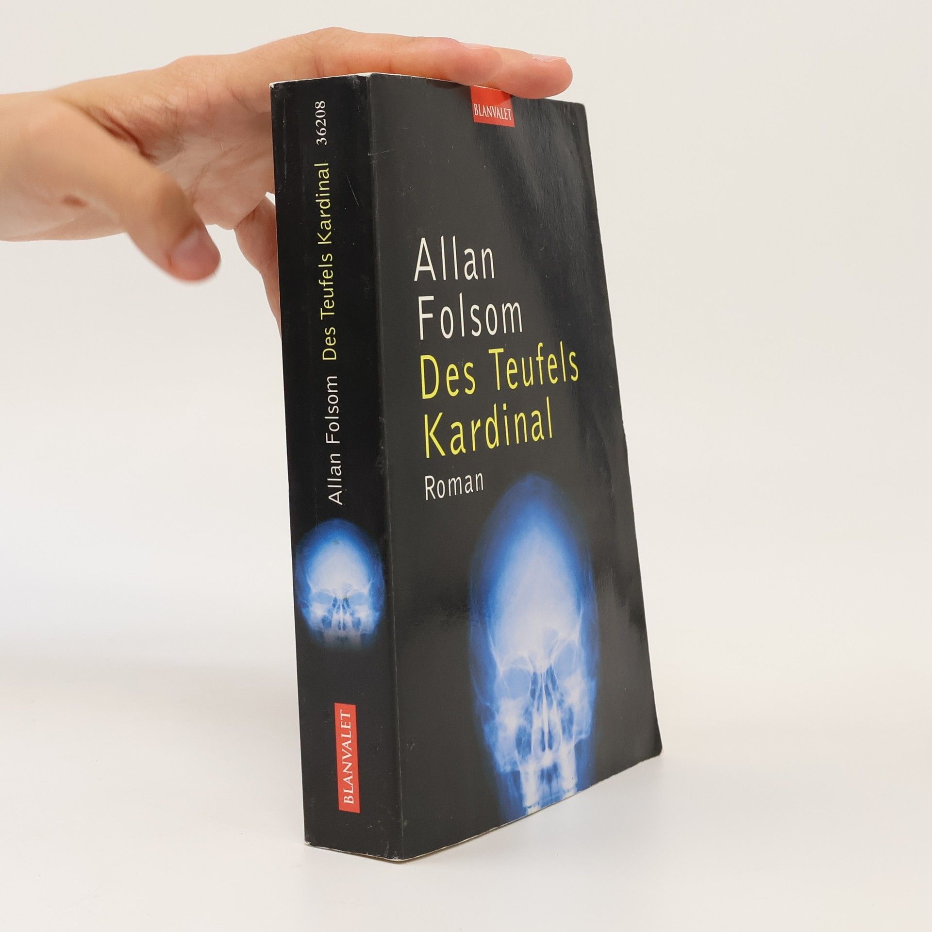 Allan Folsom Des Teufels Kardinal