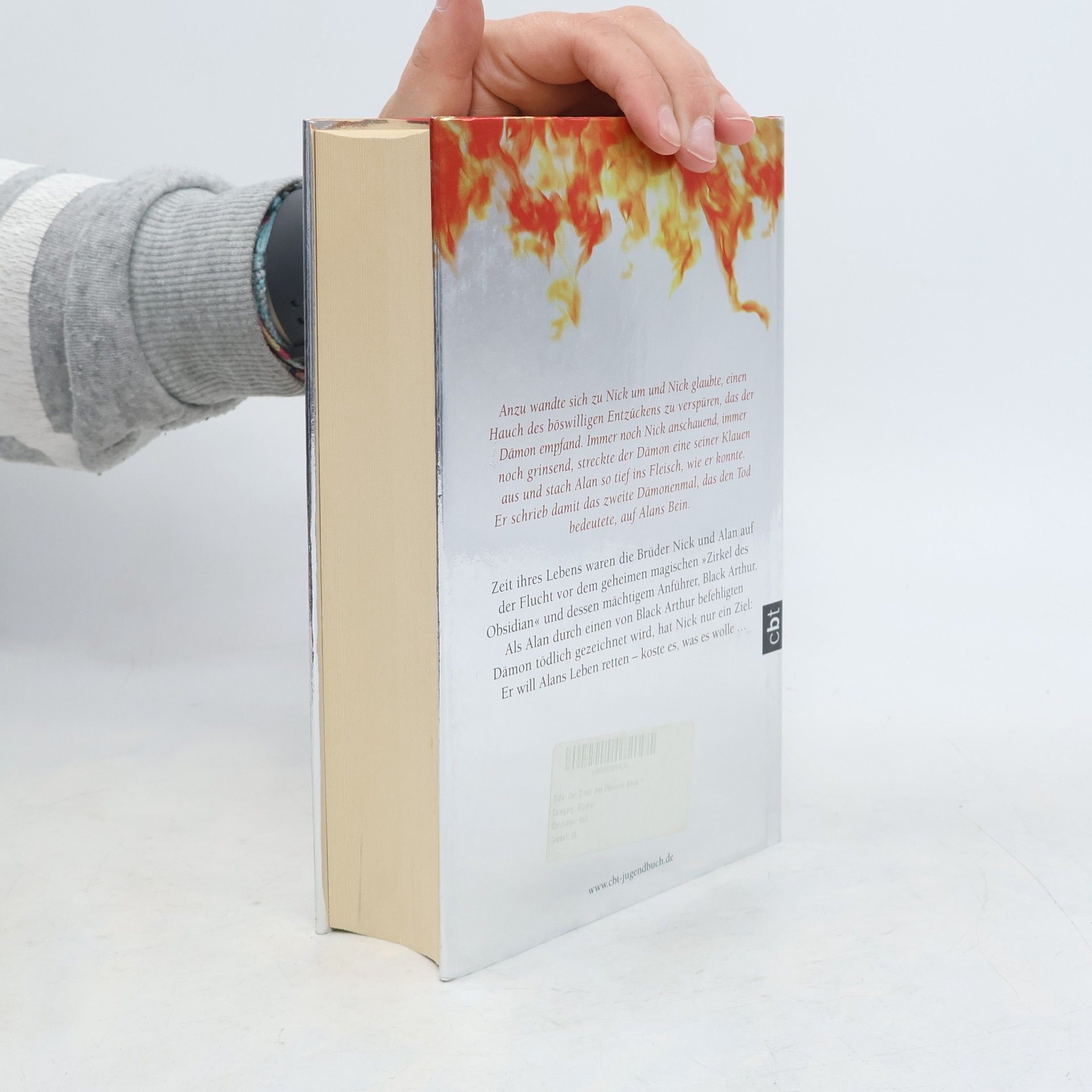 Sarah Rees Brennan Der Zirkel des Dämons
