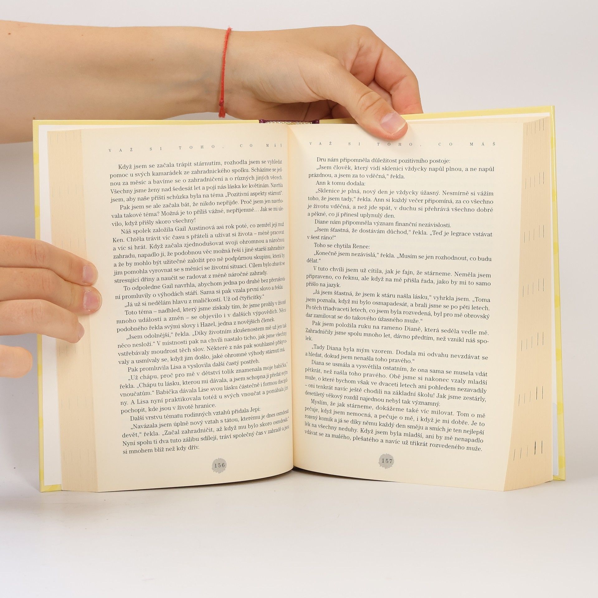 Jack Canfield Slepičí polévka pro duši: Myslete pozitivně