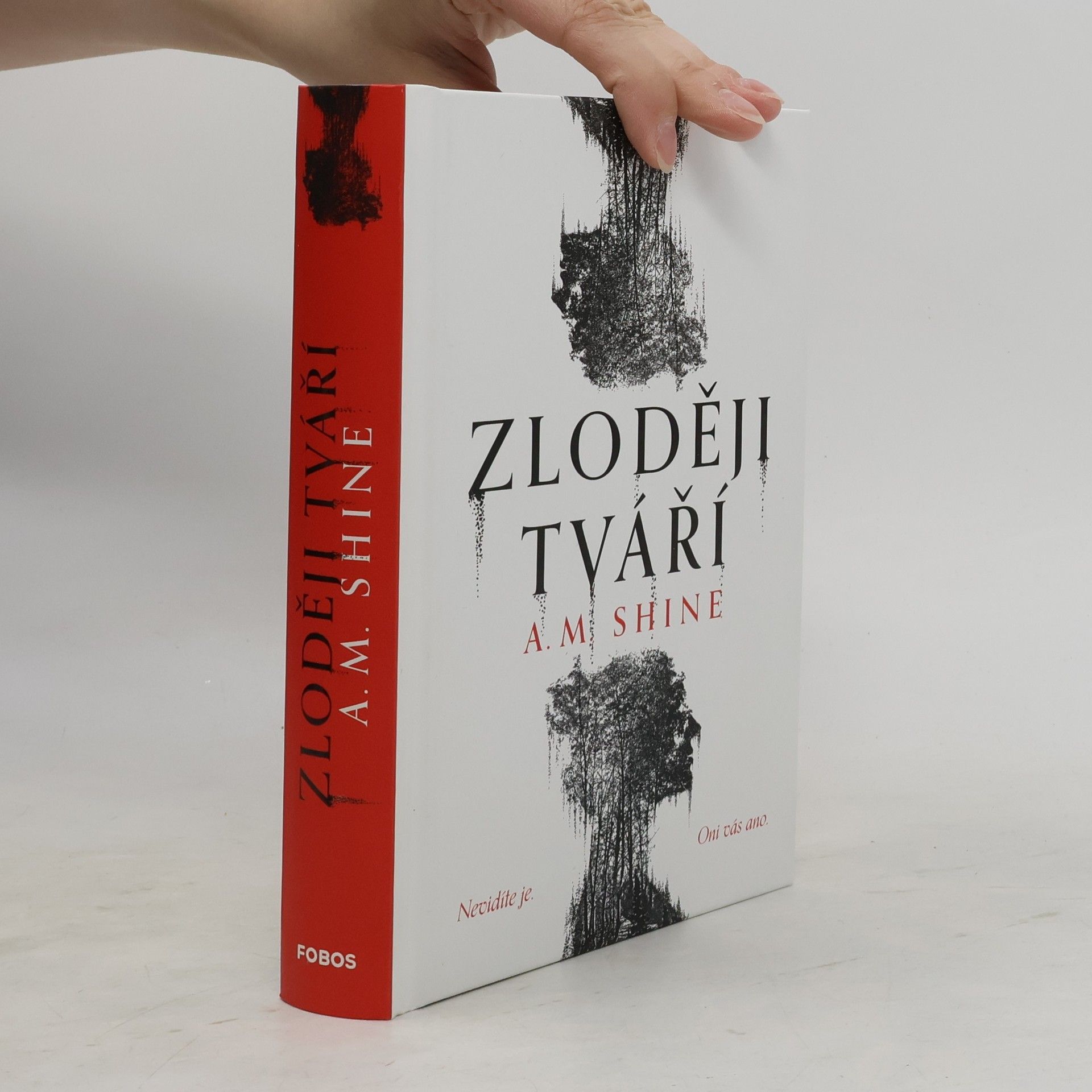 Betty Shine Zloději tváří