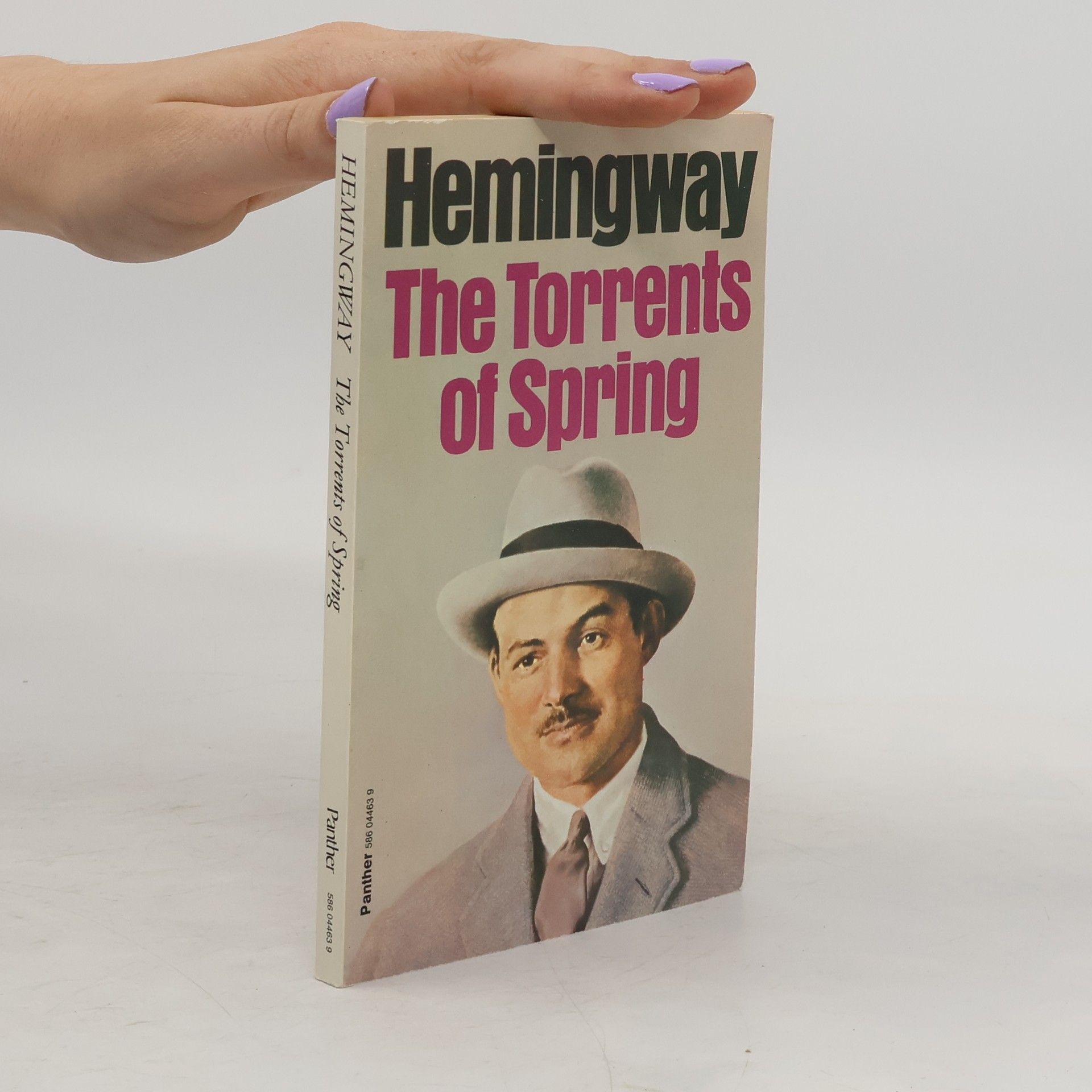 Ernest Hemmingway The Torrents of Spring