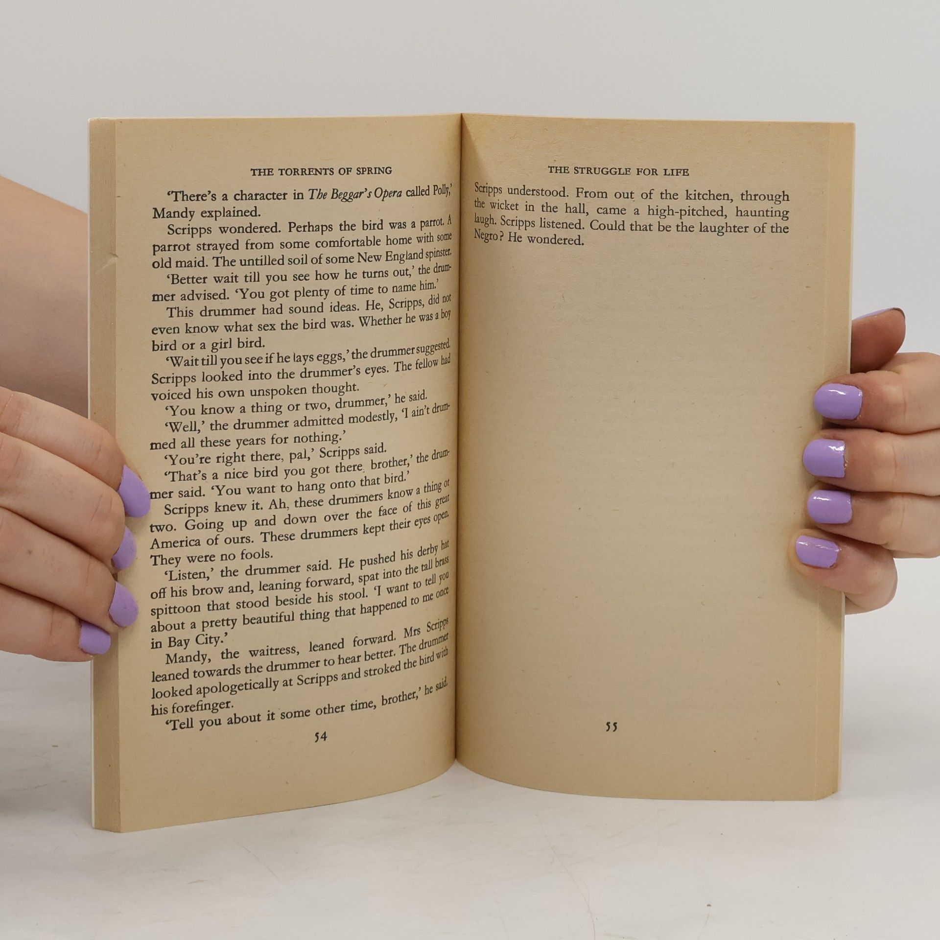 Ernest Hemmingway The Torrents of Spring