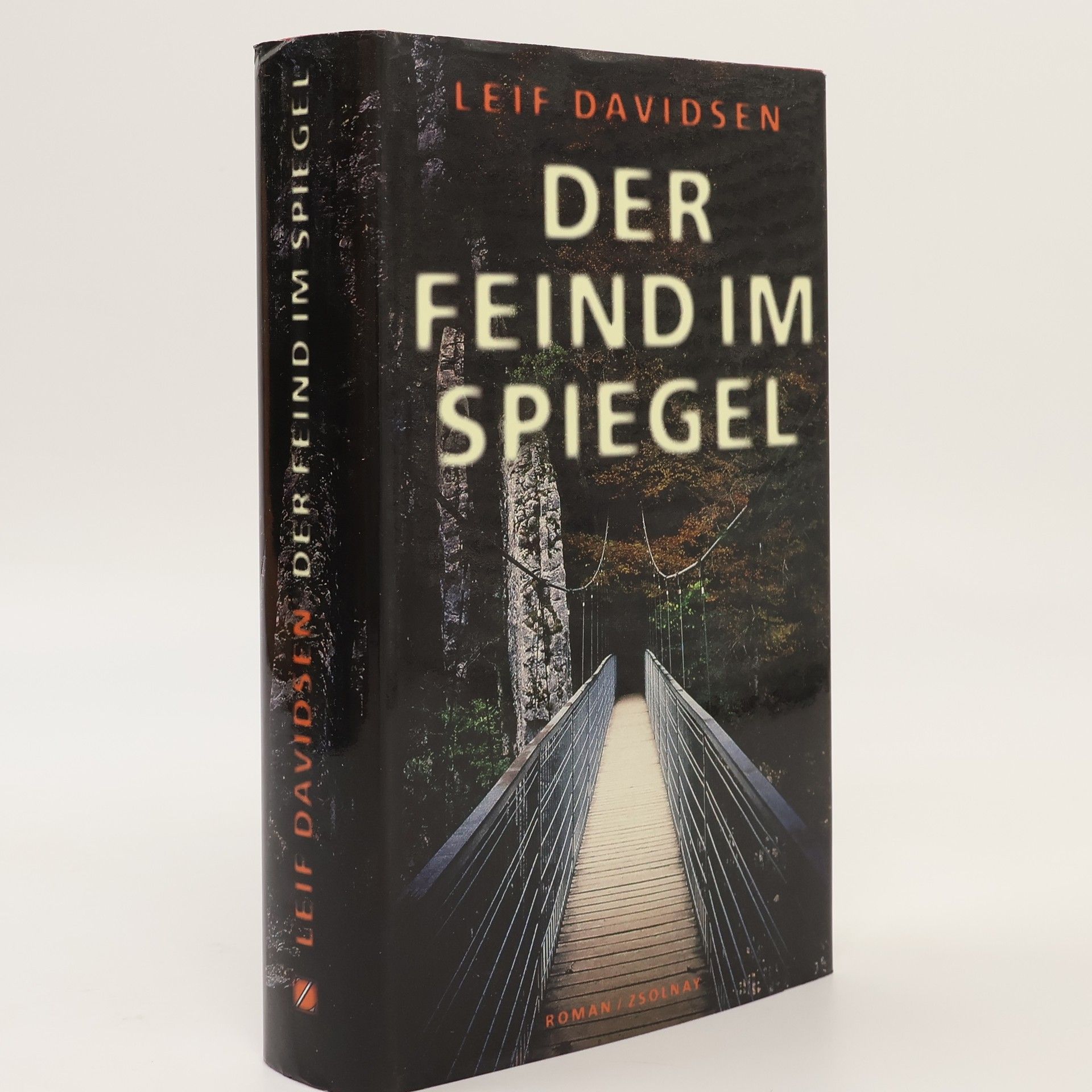 Leif Davidsen Der Feind im Spiegel