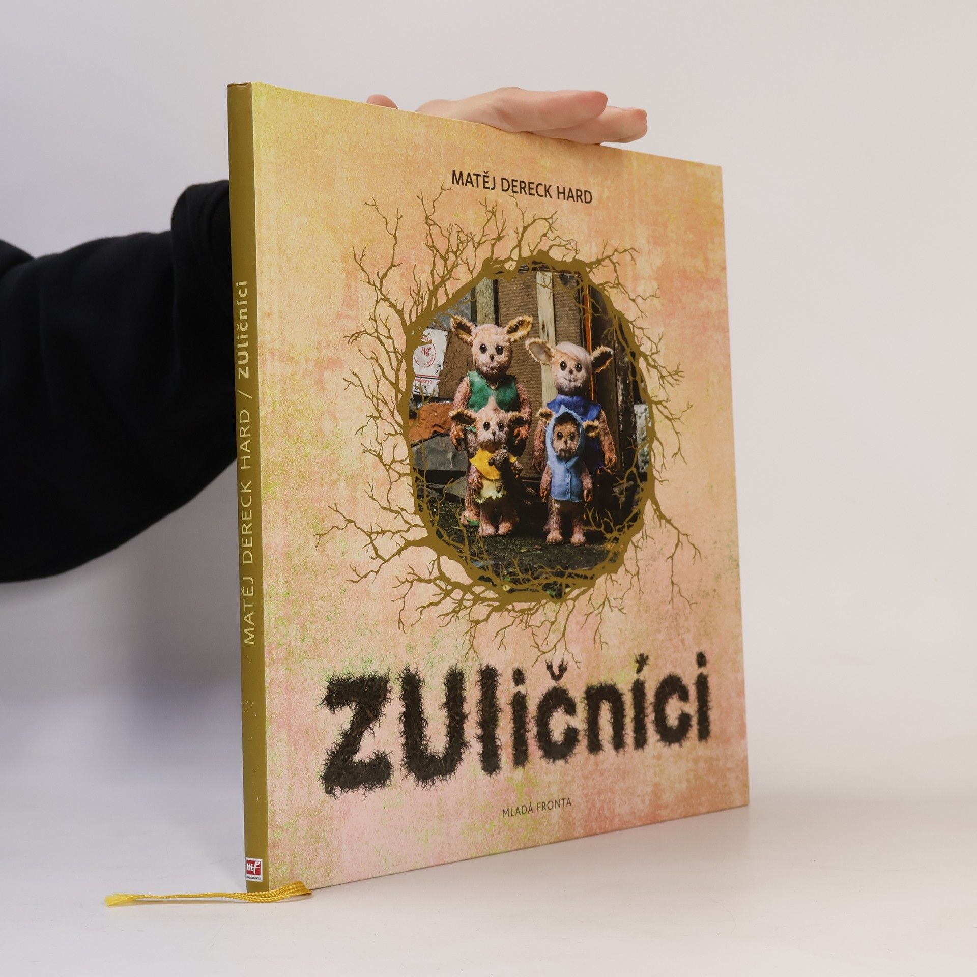 ZUličníci