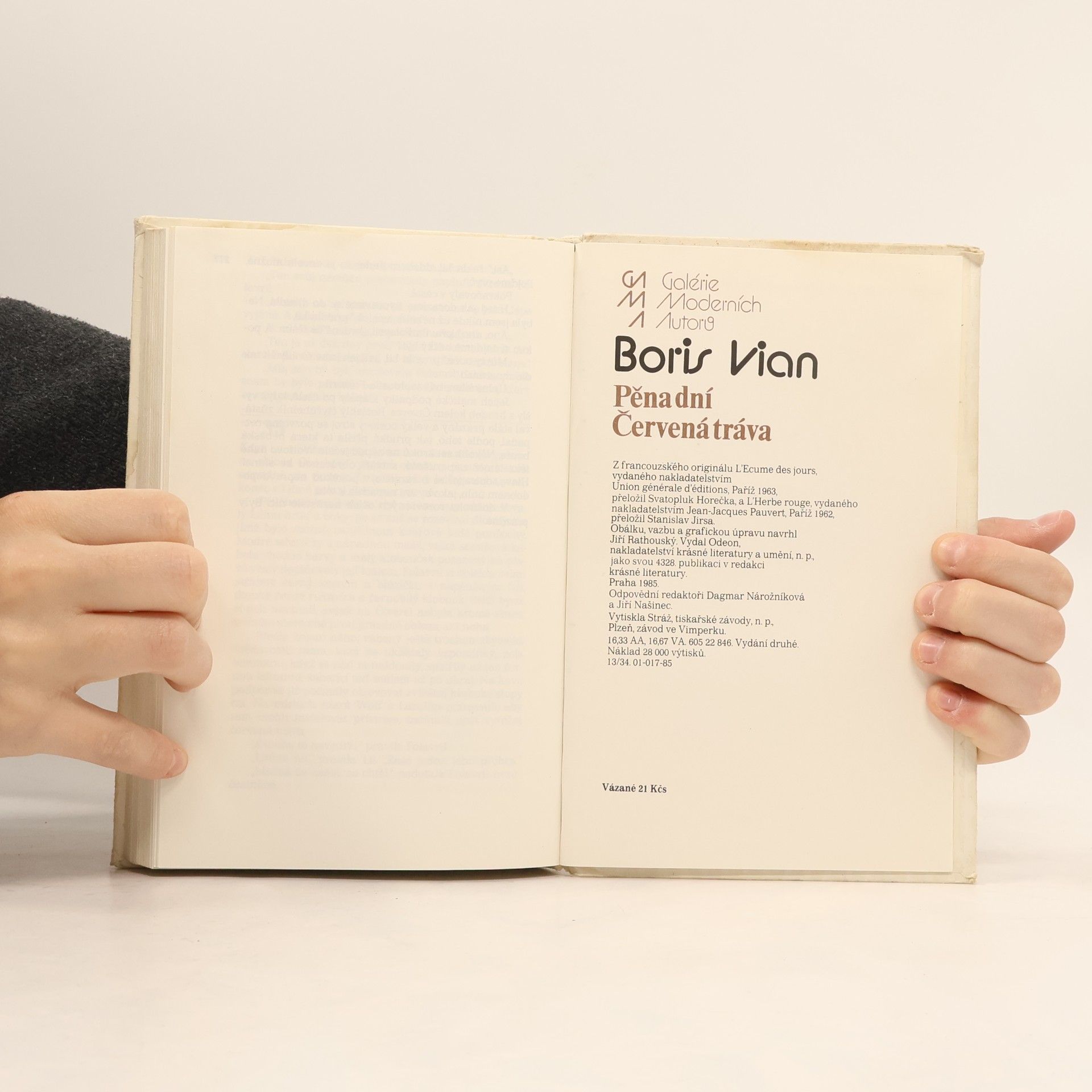 Boris Vian Pěna dní. Červená tráva