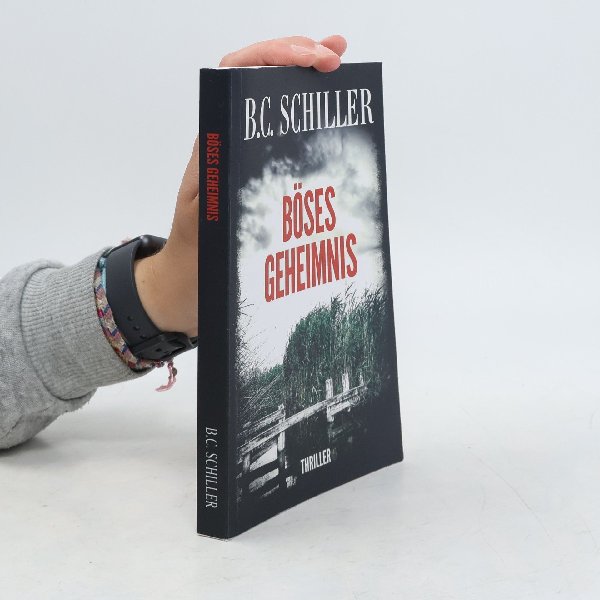 B. C. Schiller Böses Geheimnis