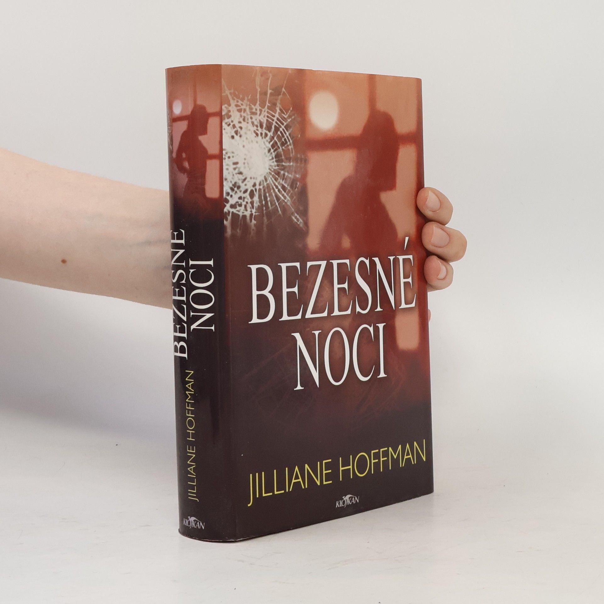 Jilliane Hoffman Bezesné noci