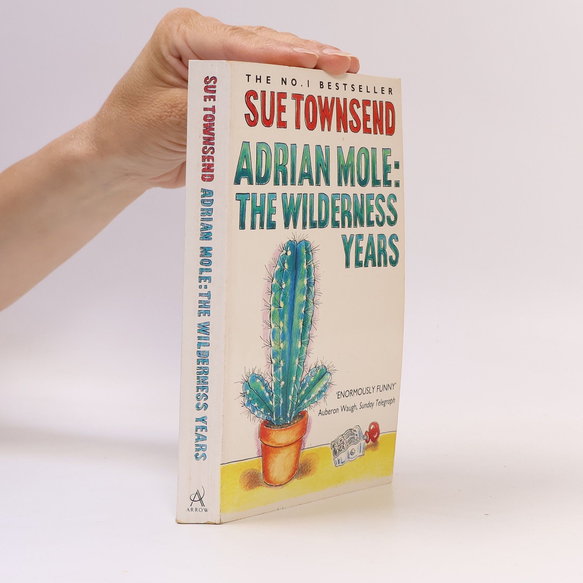 Sue Townsend Adrian Mole: The Wilderness Years