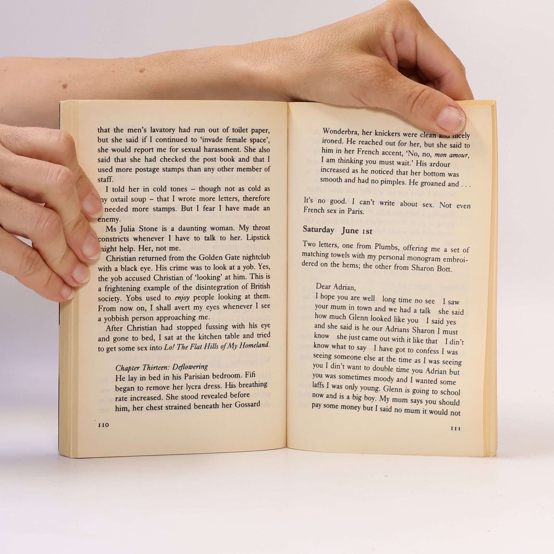 Sue Townsend Adrian Mole: The Wilderness Years