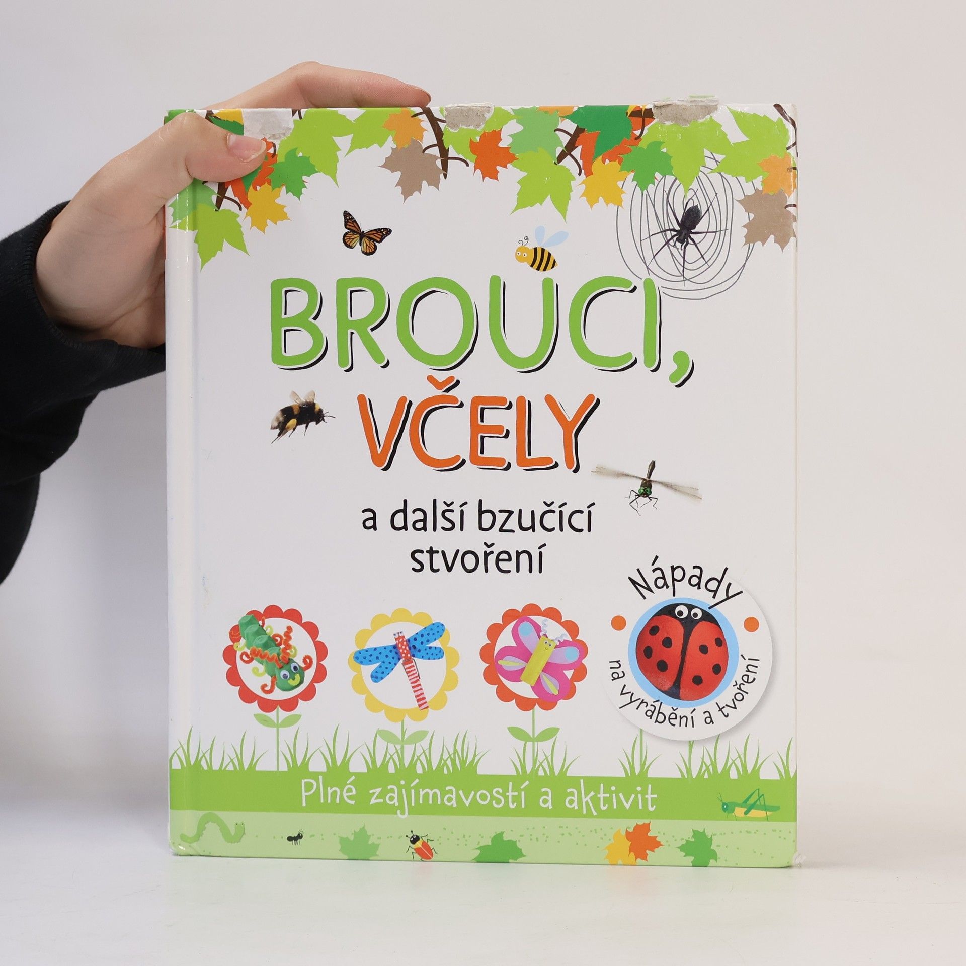 Kolektiv autorů Brouci, včely a další bzučící stvoření