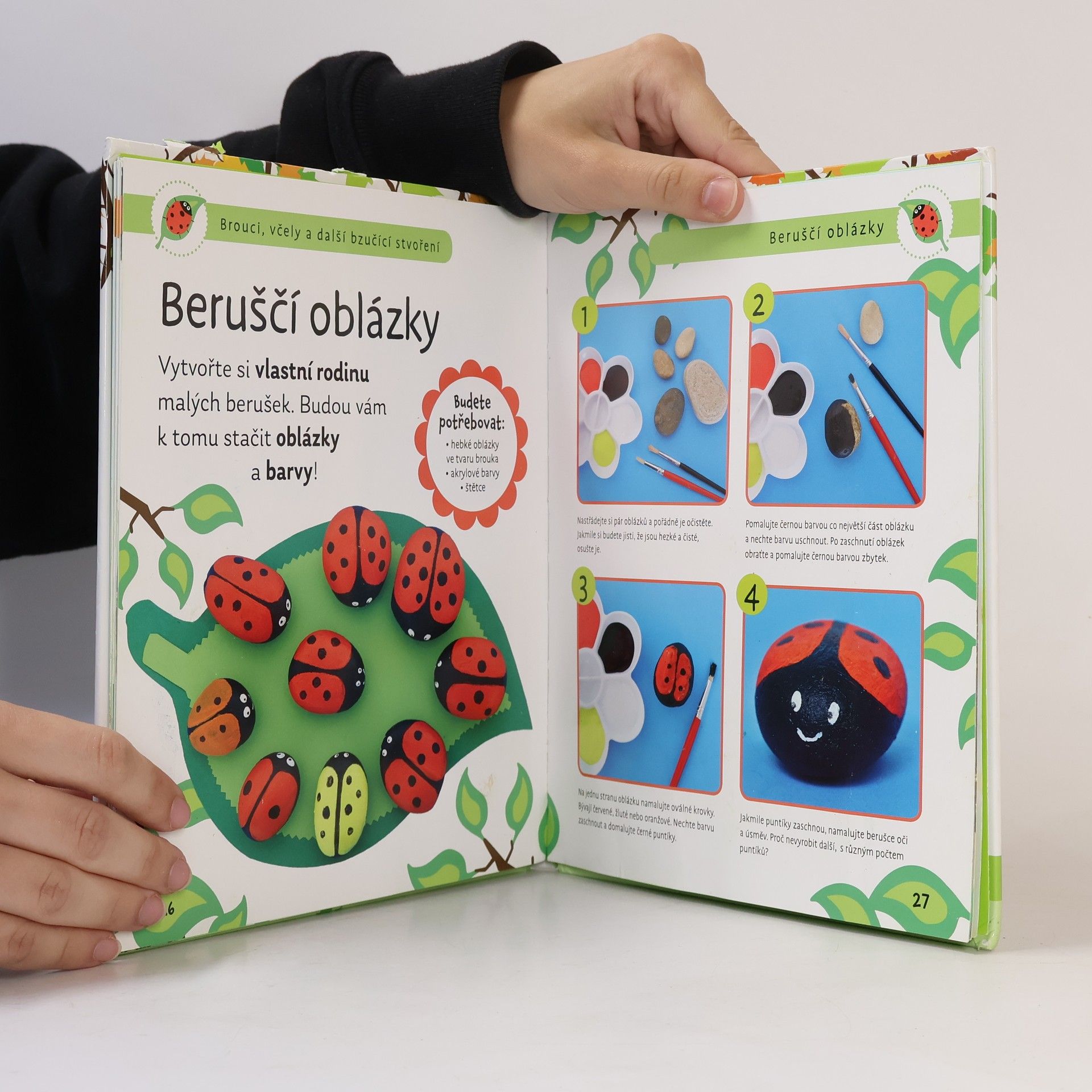 Kolektiv autorů Brouci, včely a další bzučící stvoření