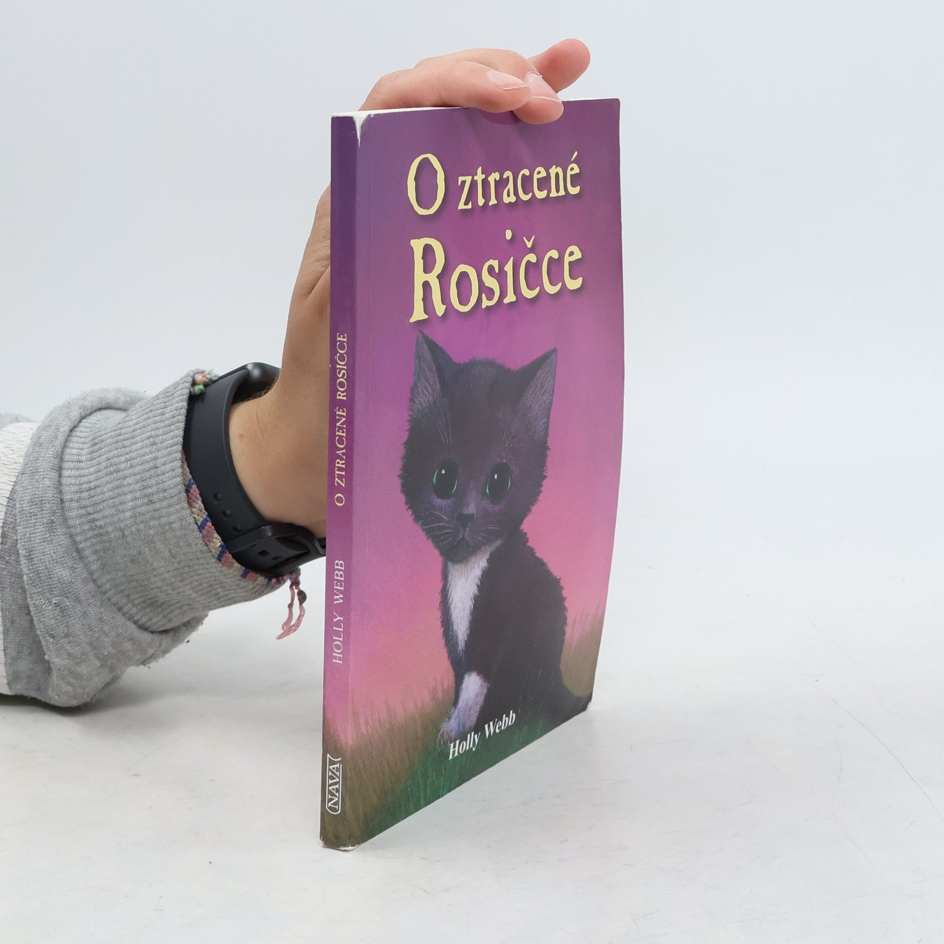 Holly Webb O ztracené Rosičce