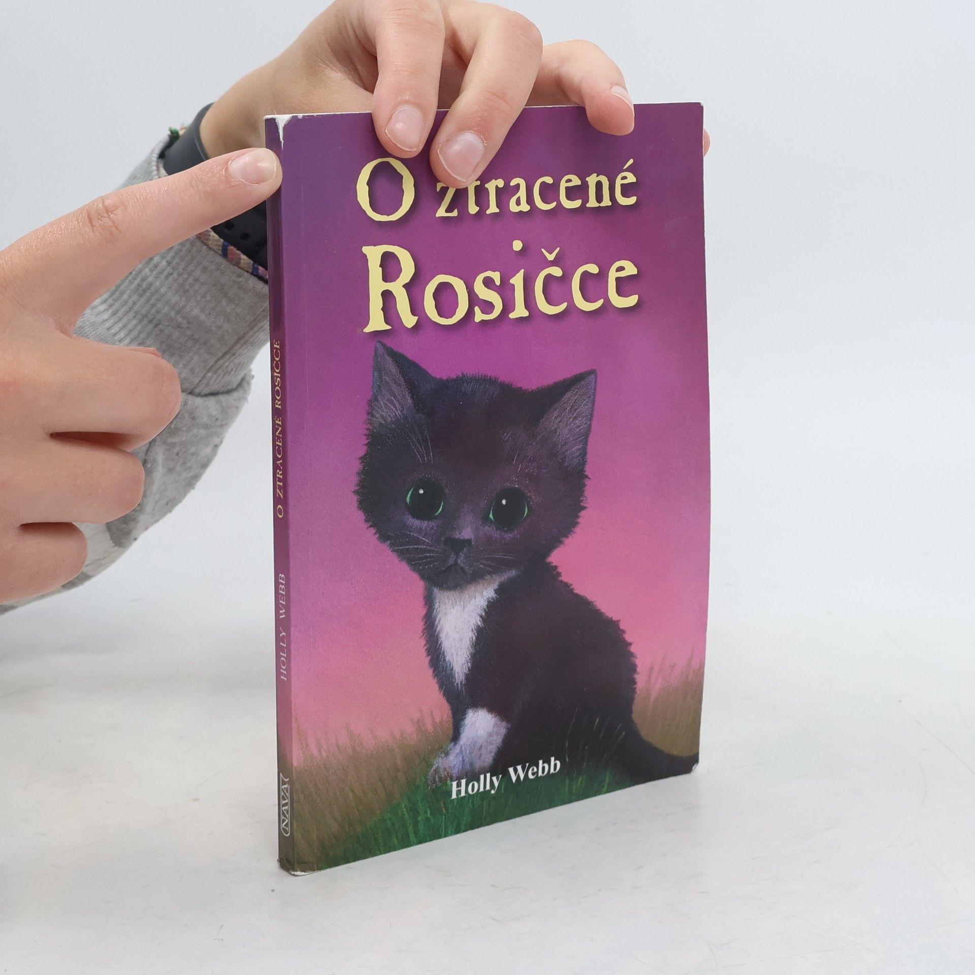 Holly Webb O ztracené Rosičce