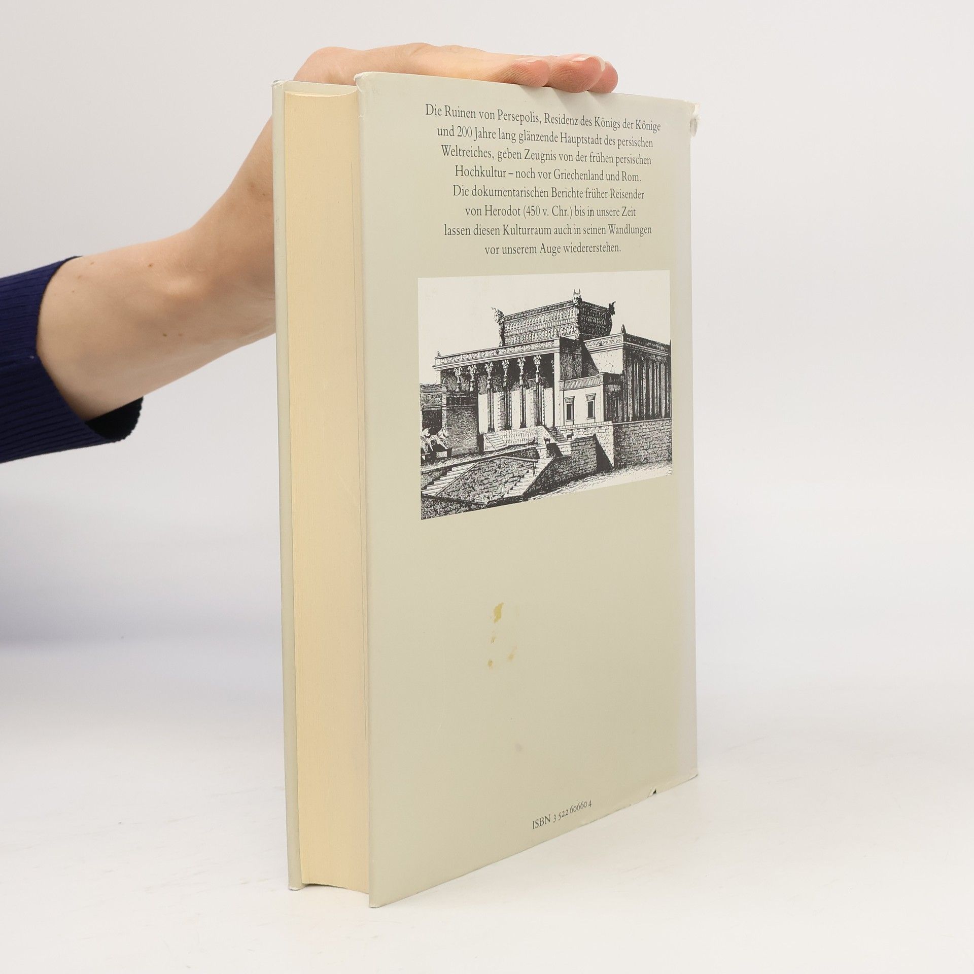 Helmut Arndt Persepolis