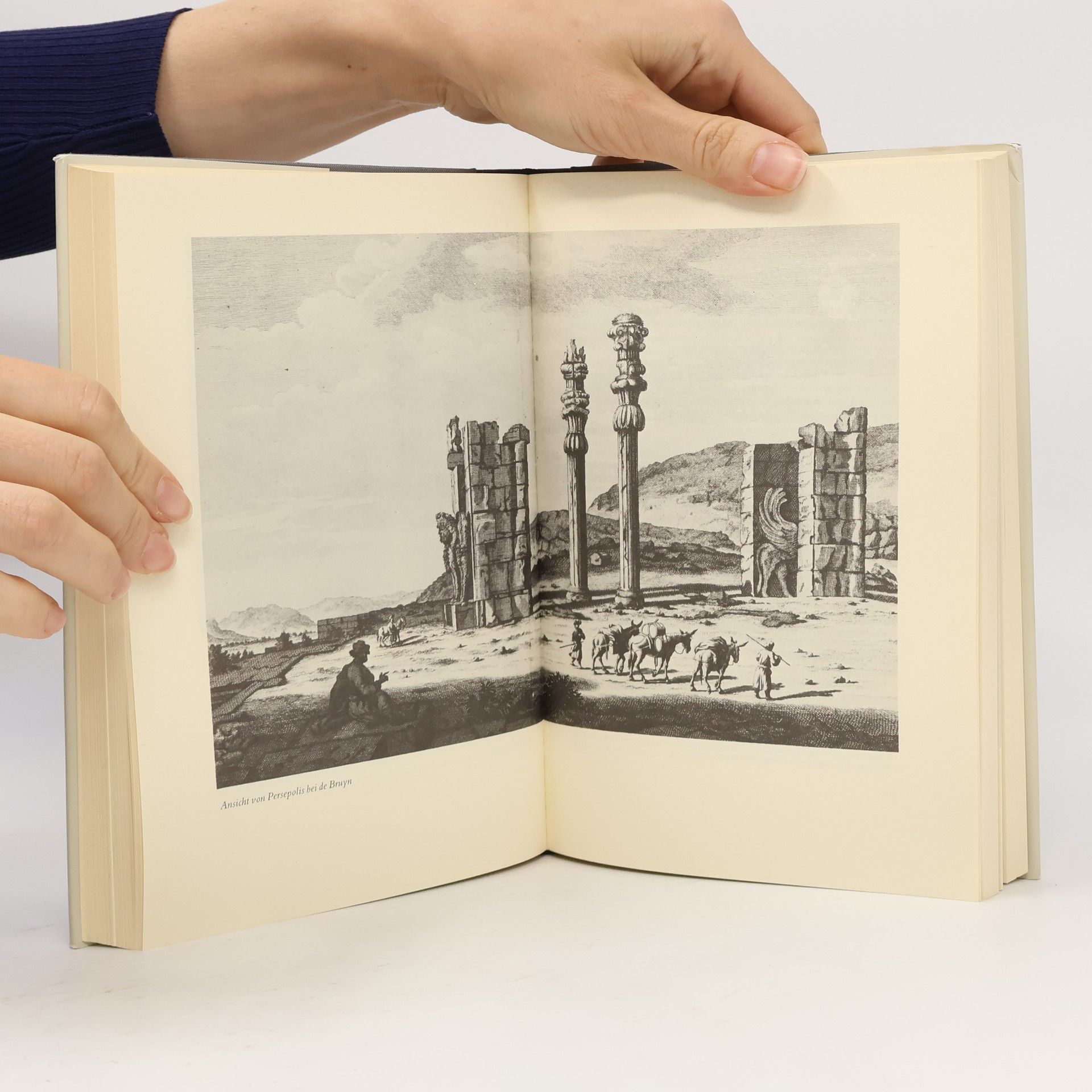 Helmut Arndt Persepolis