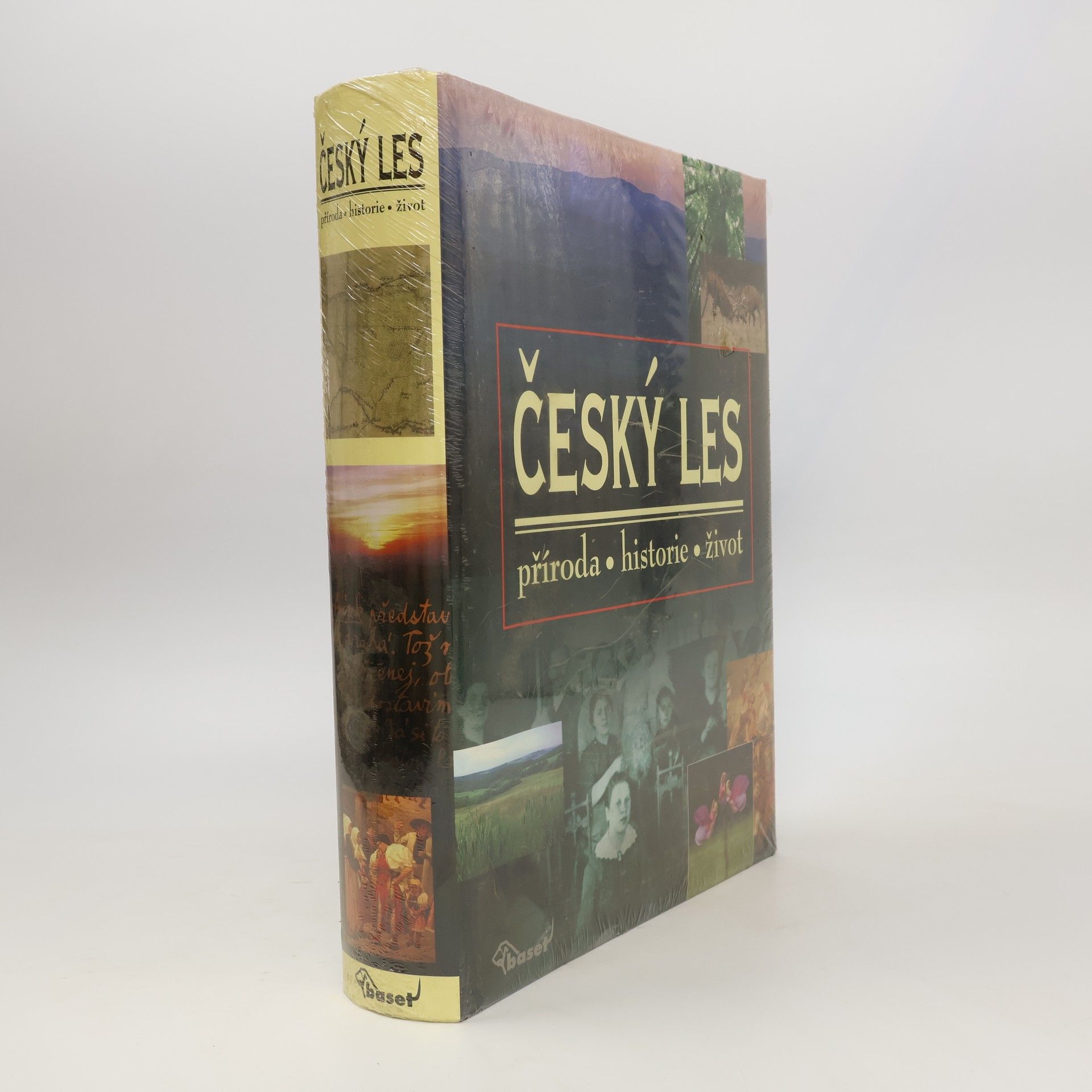 Vladislav Dudák Český les