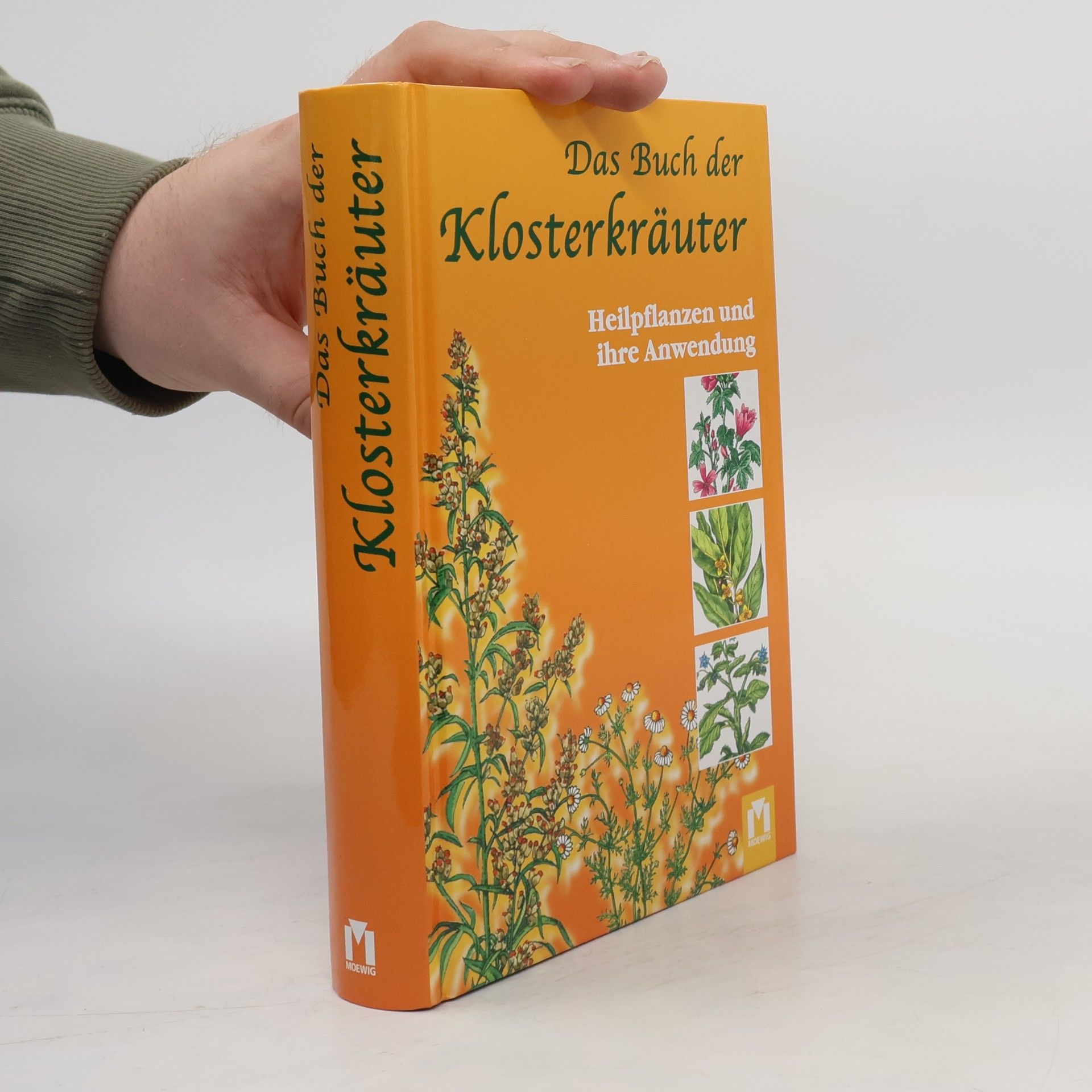 Heidelore Kluge Das Buch der Klosterkräuter