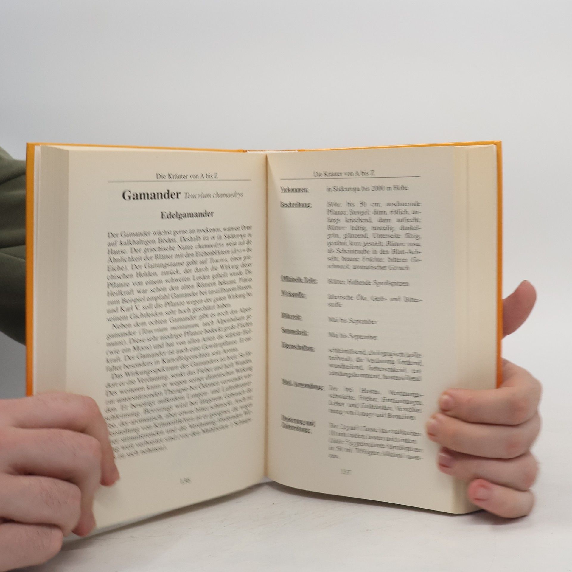 Heidelore Kluge Das Buch der Klosterkräuter
