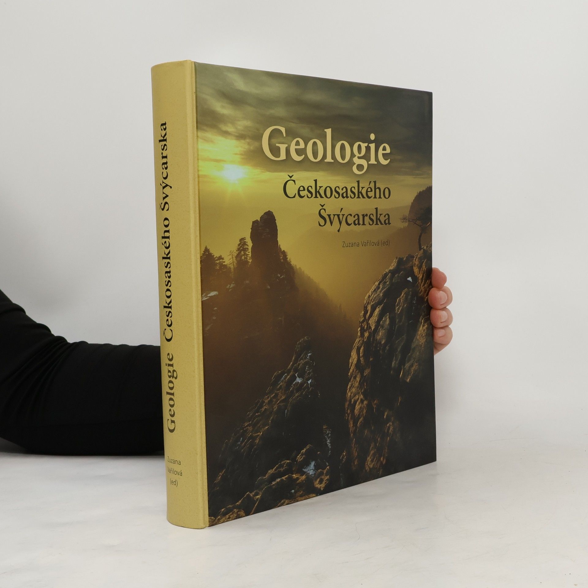 Kolektiv autorů Geologie Českosaského Švýcarska