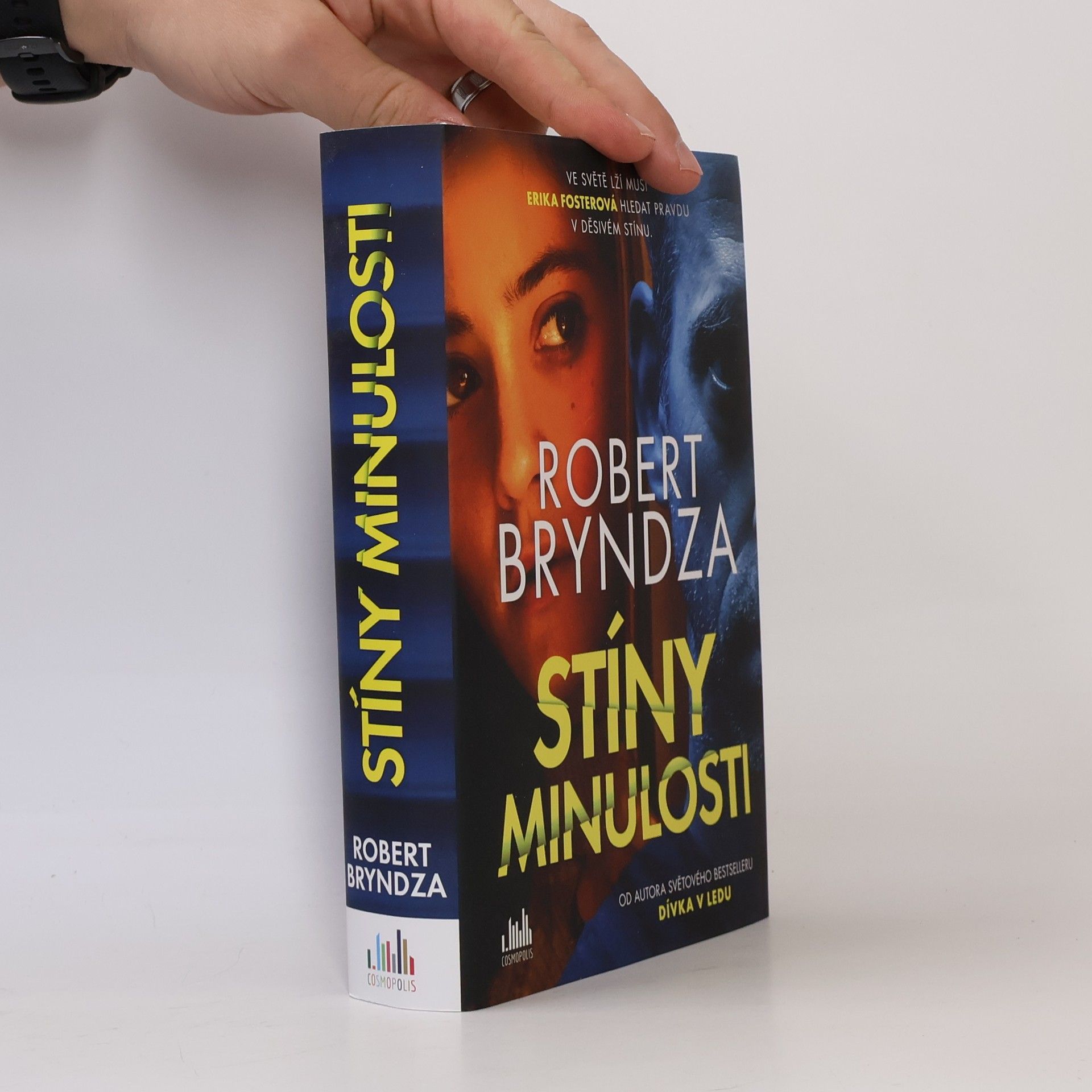 Robert Bryndza Stíny minulosti