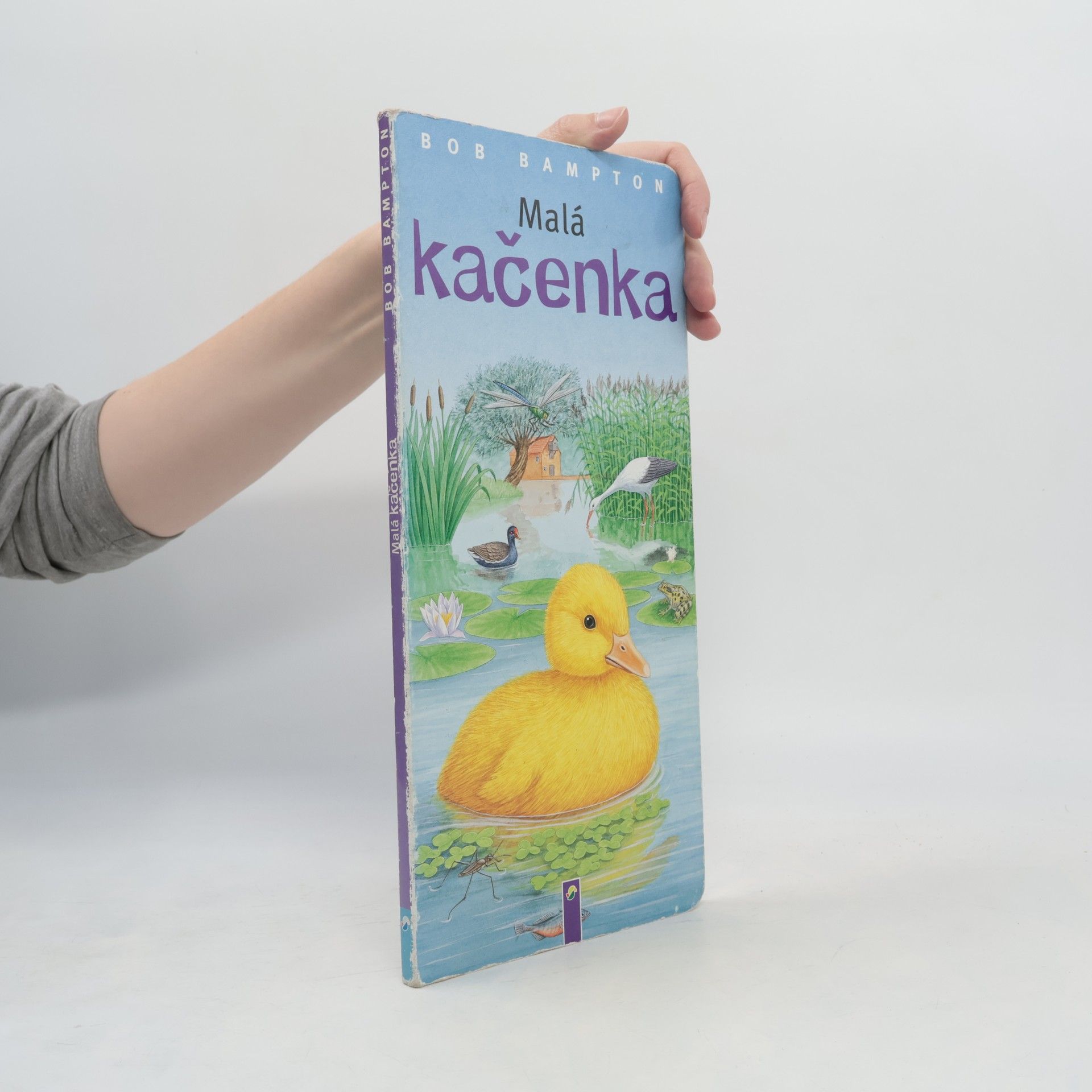 Malá kačenka