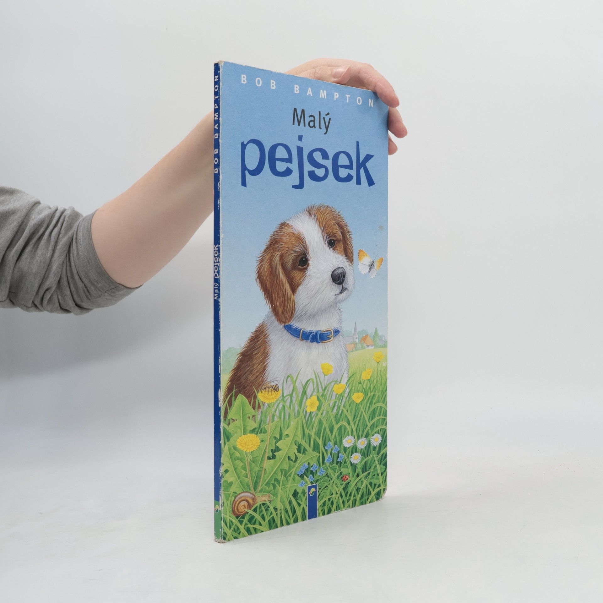 Malý pejsek