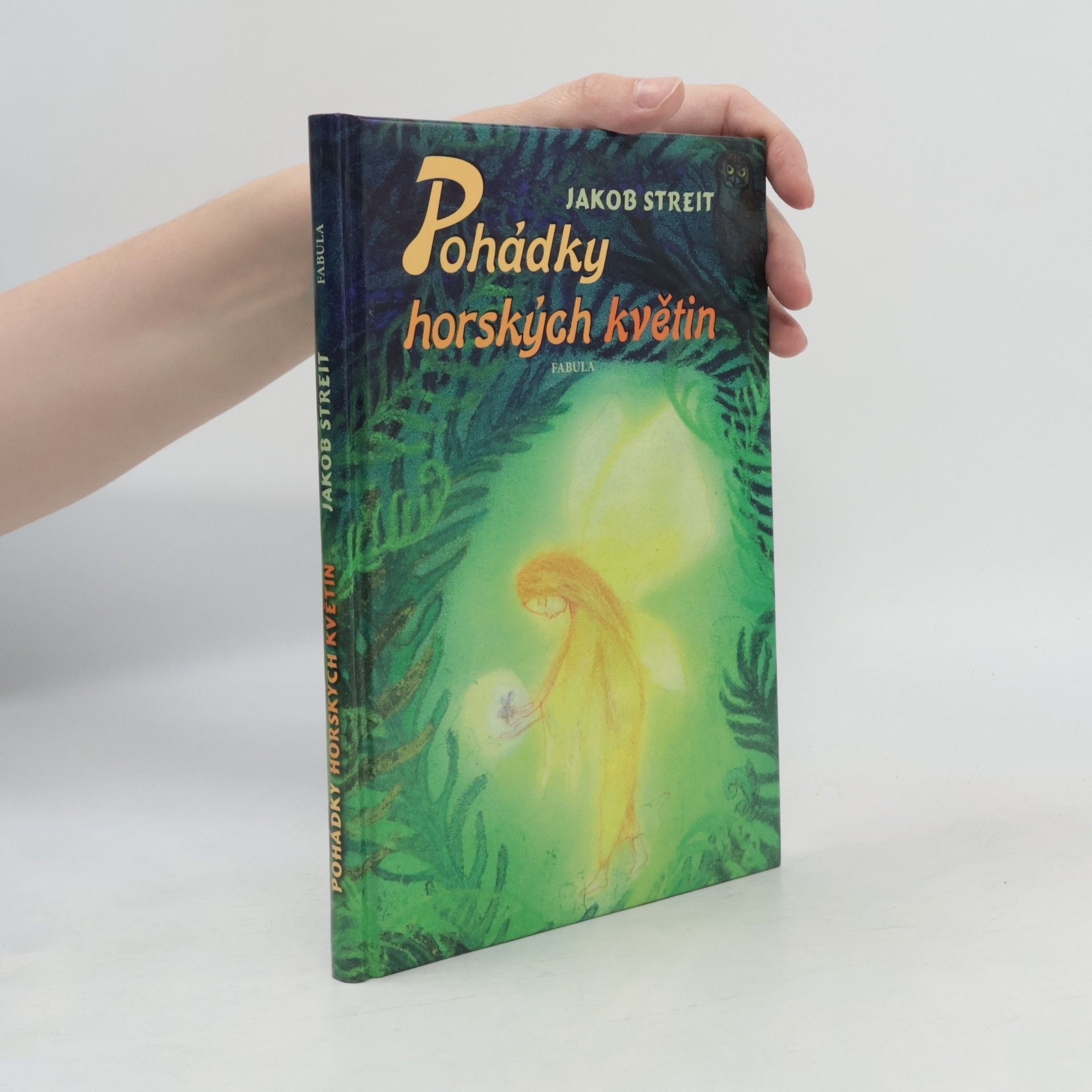 Markéta Kotková Pohádky horských květin