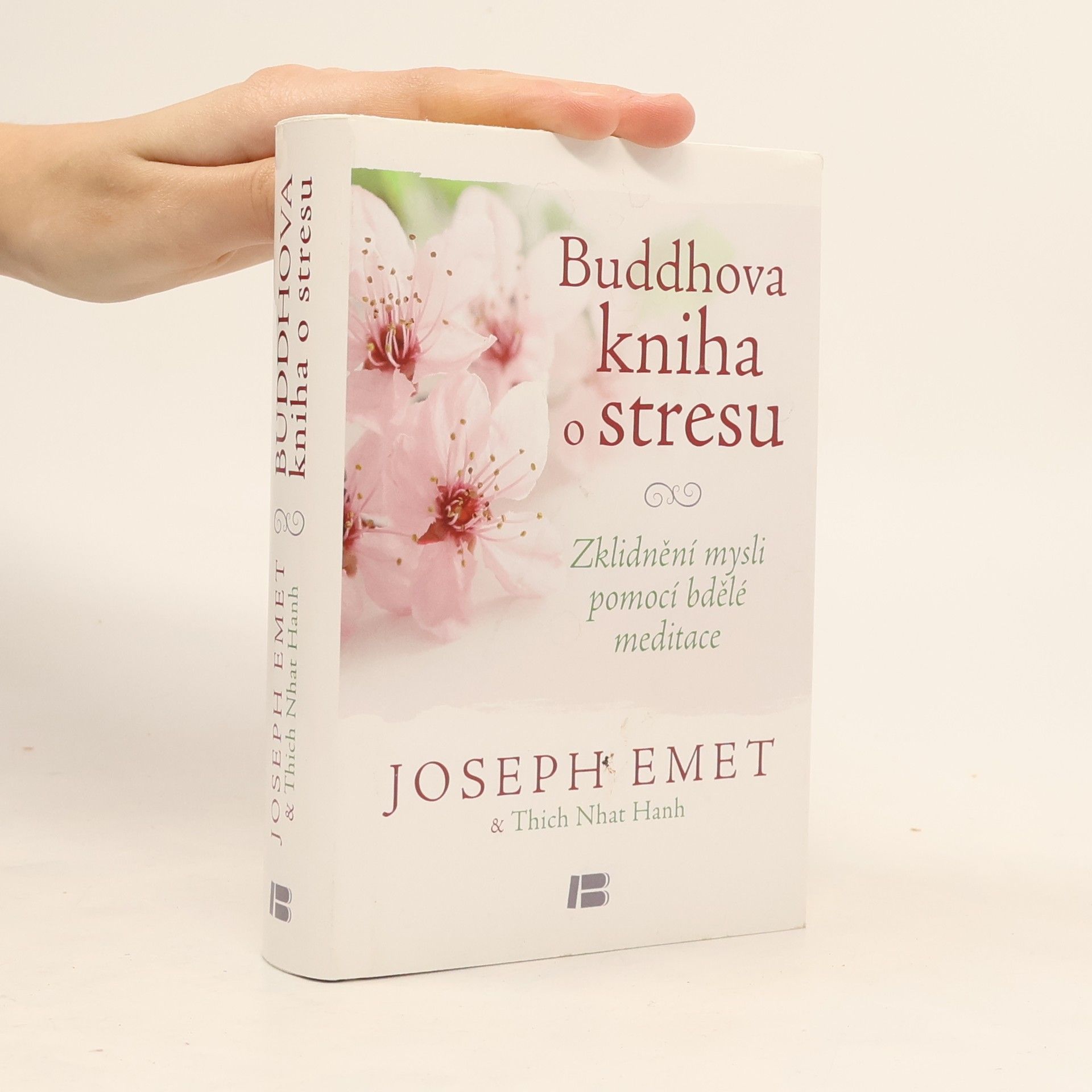 Hạnh Nhat Buddhova kniha o stresu: Zklidnění mysli pomocí bdělé meditace