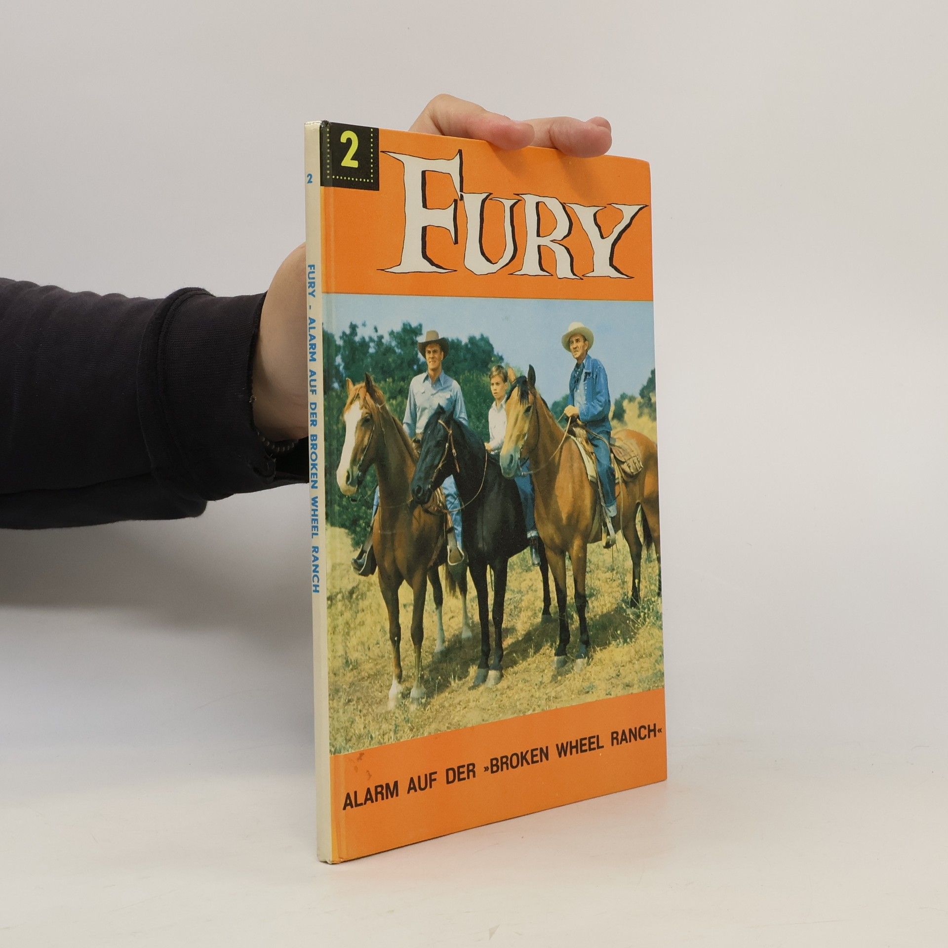 René van Nerum Fury 2