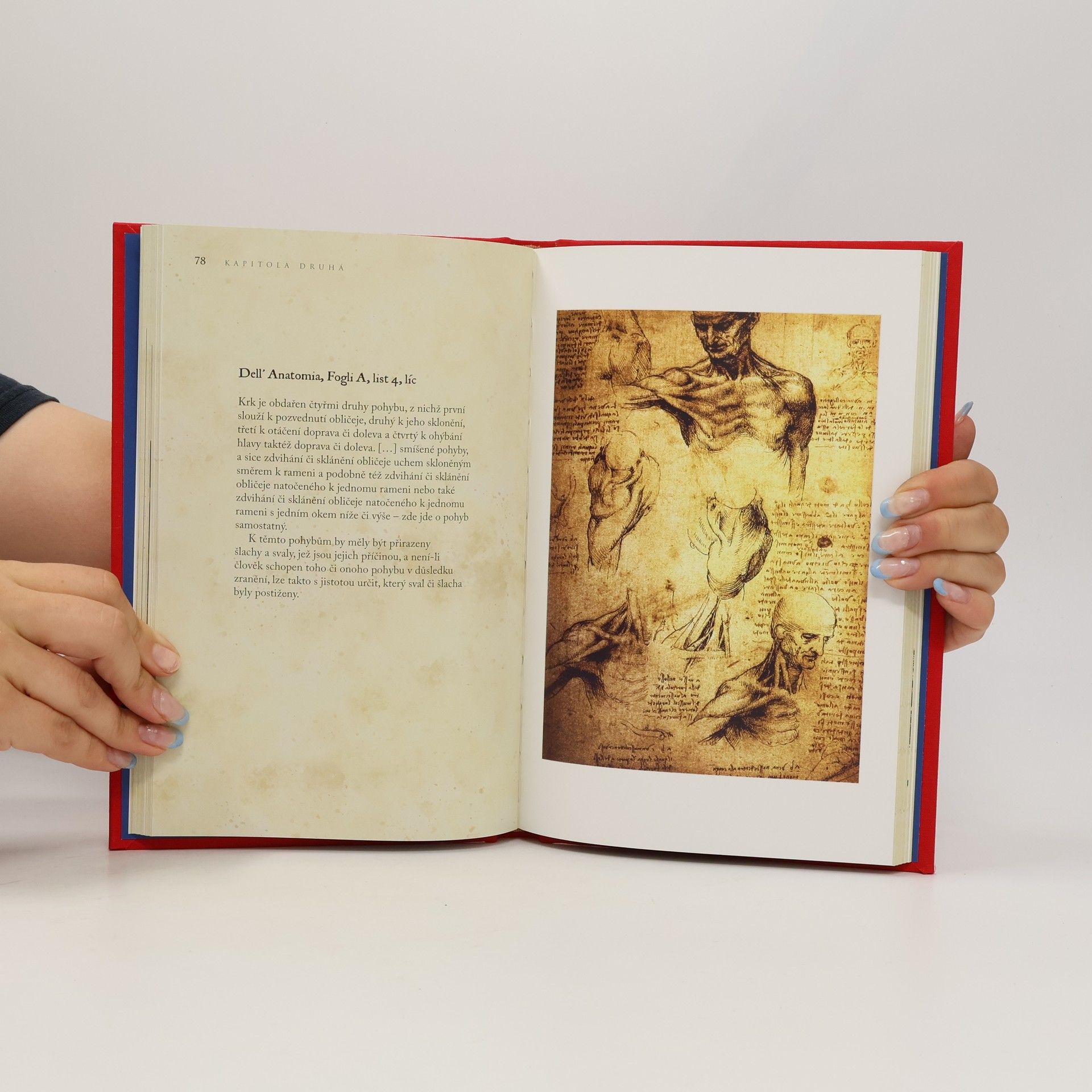 Leonardo da Vinci Zápisky Leonarda da Vinciho