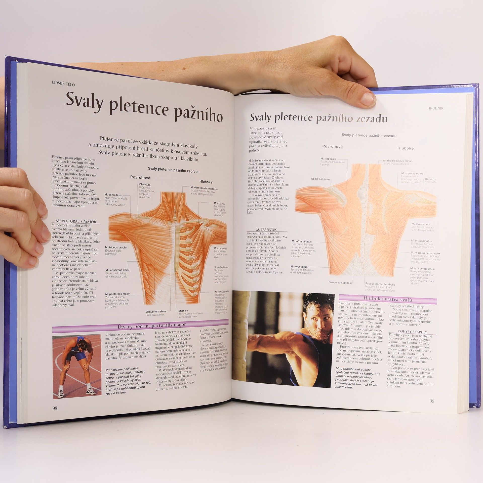 Peter H. Abrahams Lidské tělo : atlas anatomie člověka