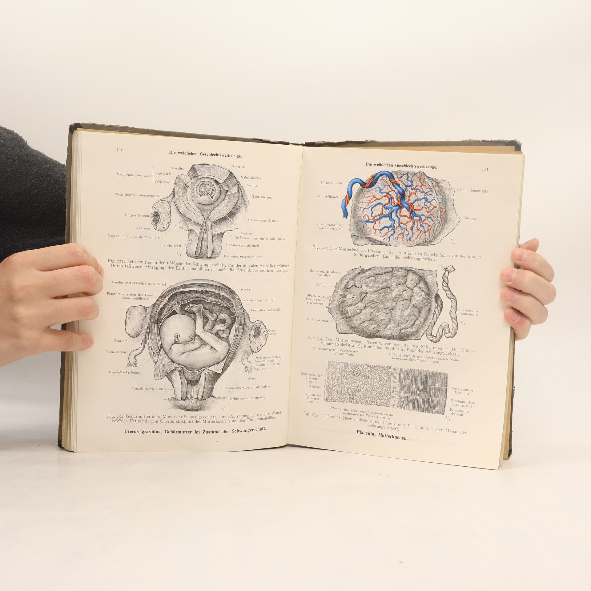Carl Toldt Toldtův anatomický atlas pro studující a lékaře