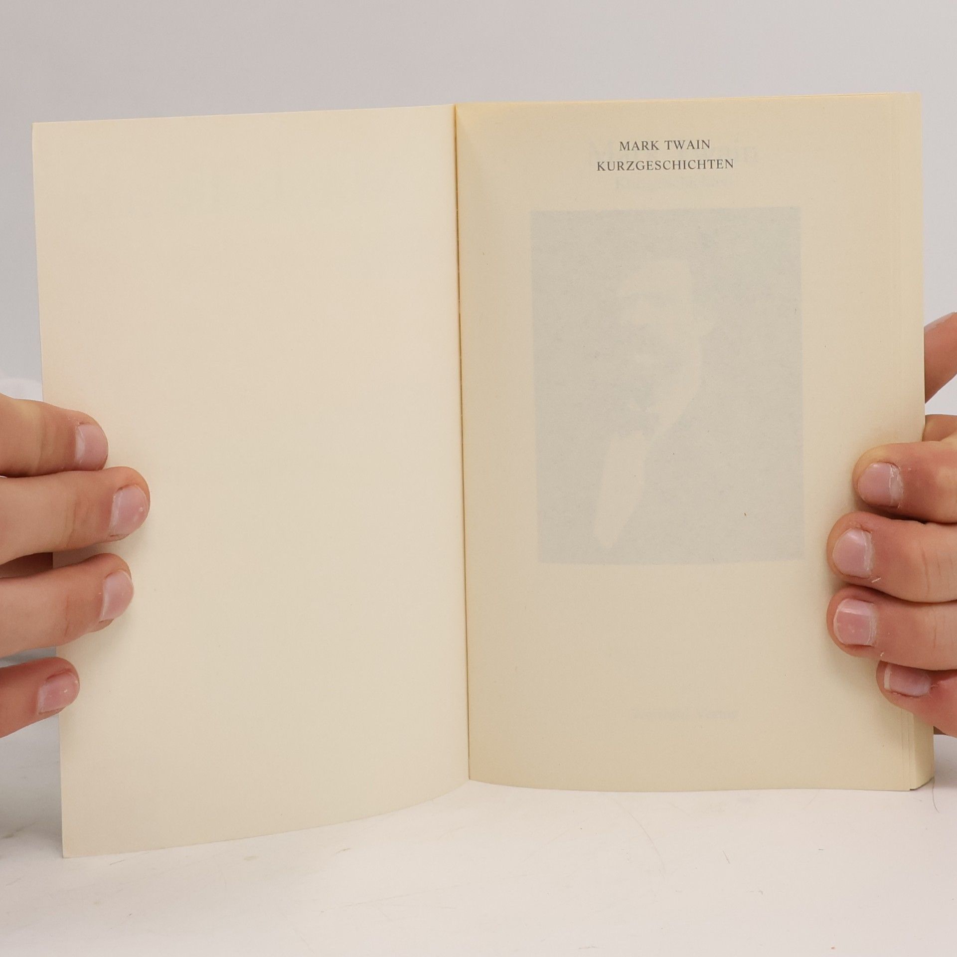 Mark Twain Kurzgeschichten Band 5