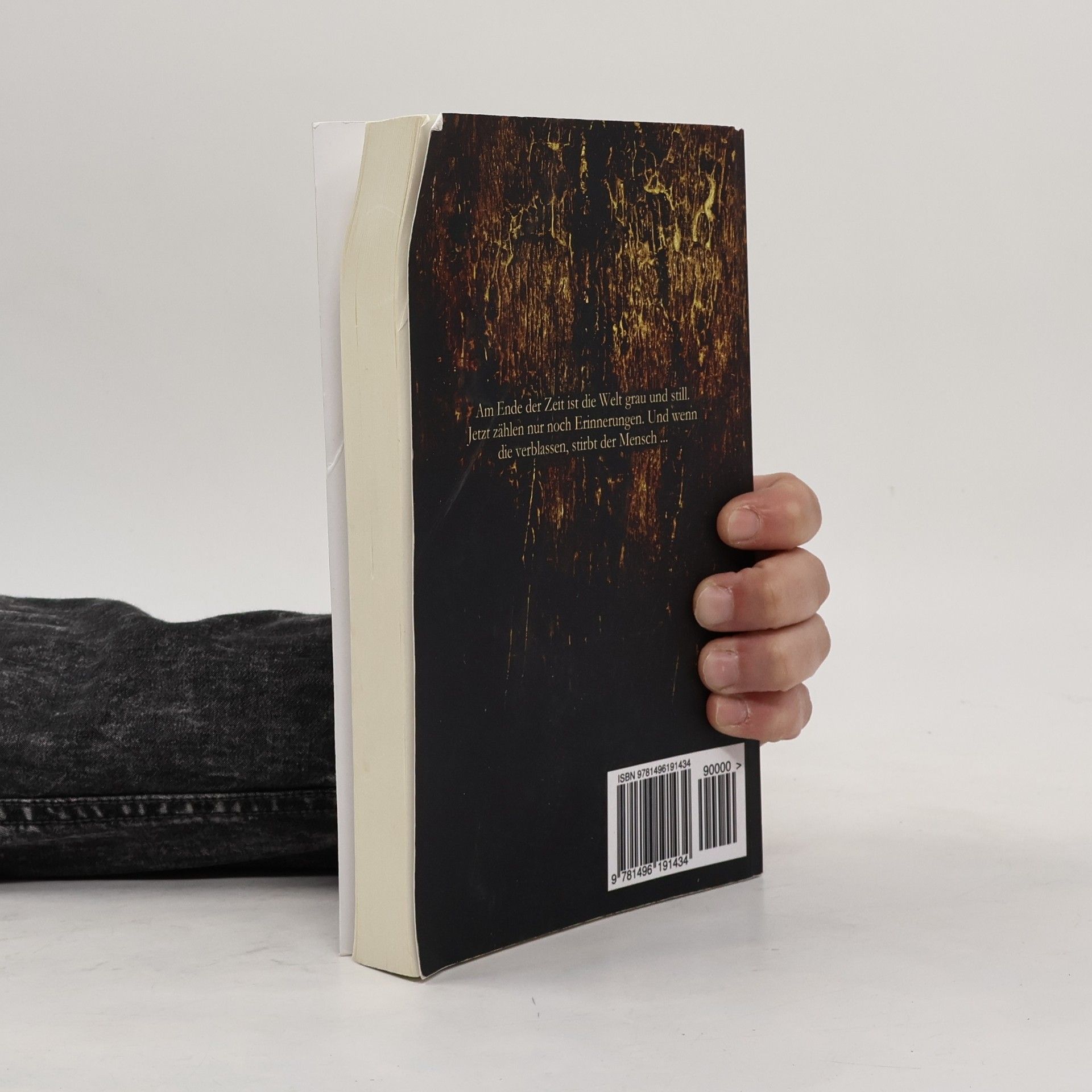 Michael Dissieux Graues Land
