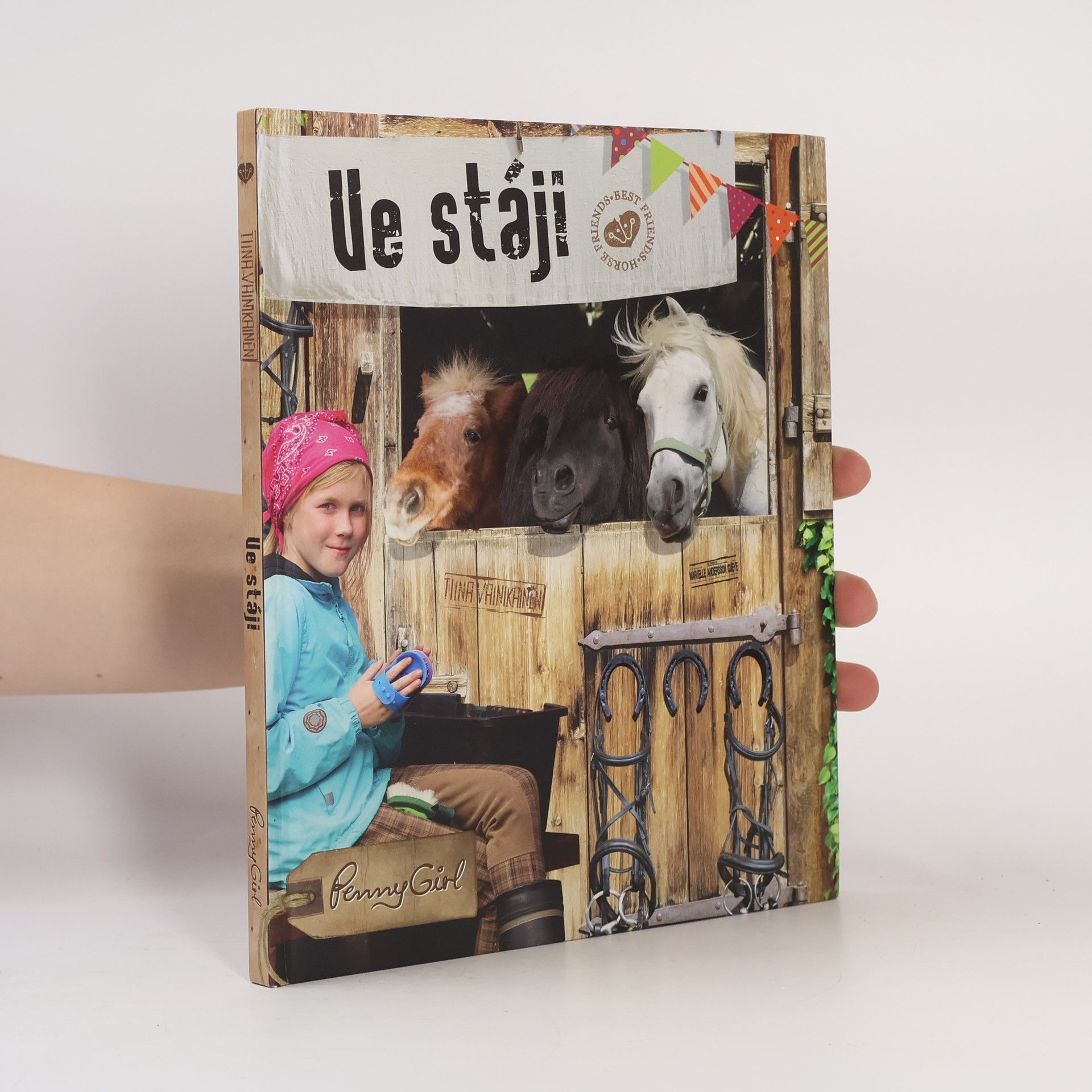 Tiina Vainikainen Ve stáji