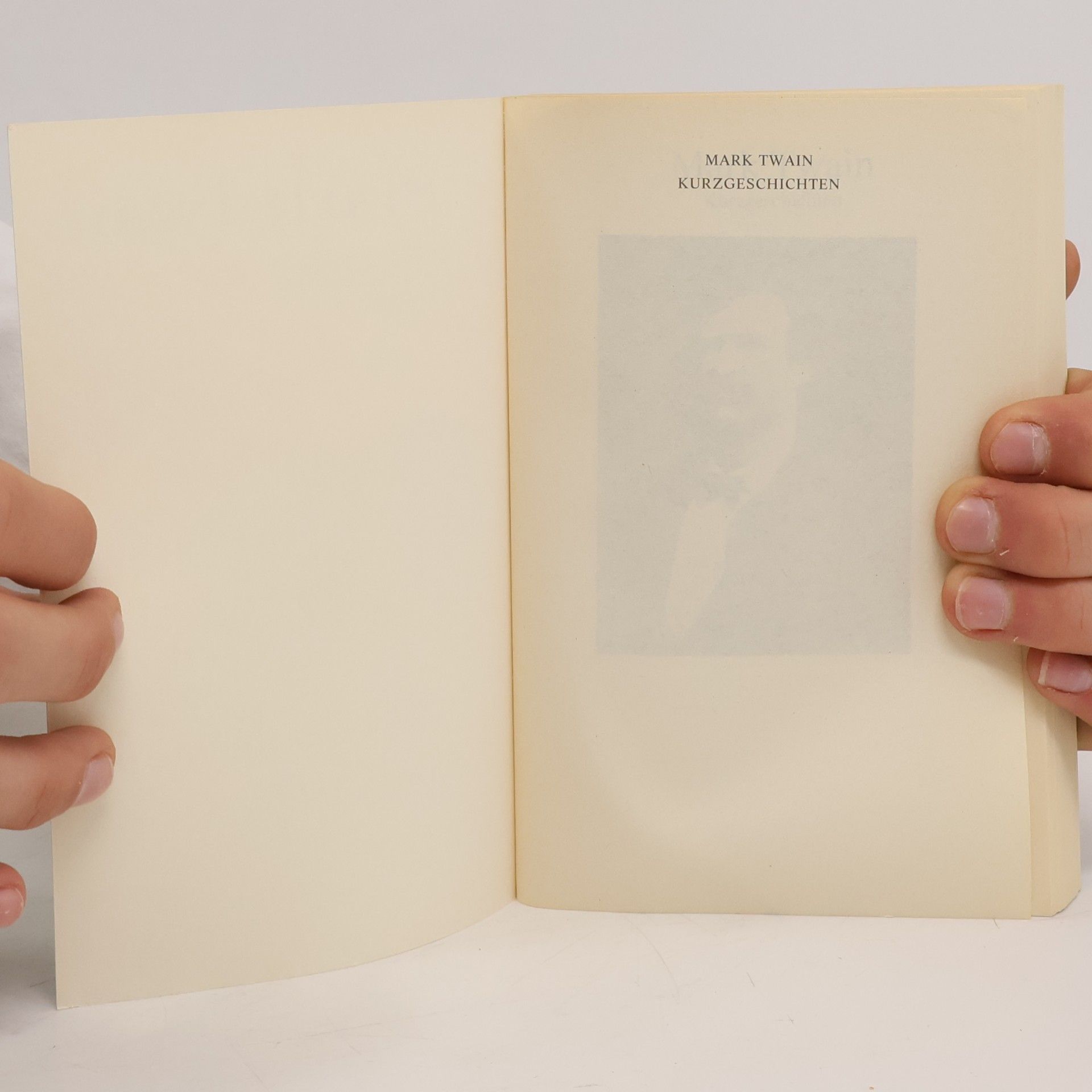 Mark Twain Kurzgeschichten 2