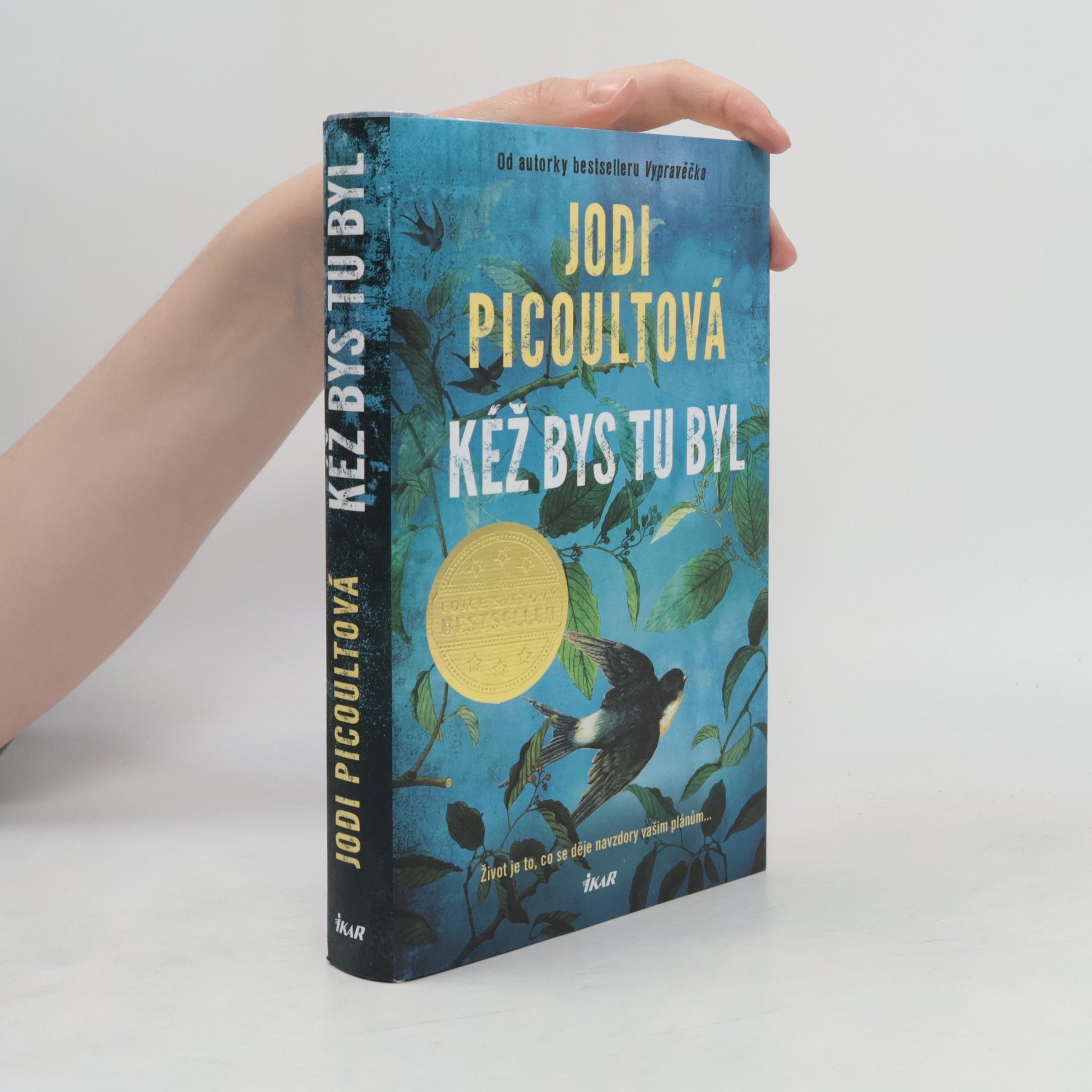 Marcela Nejedlá Kéž bys tu byl