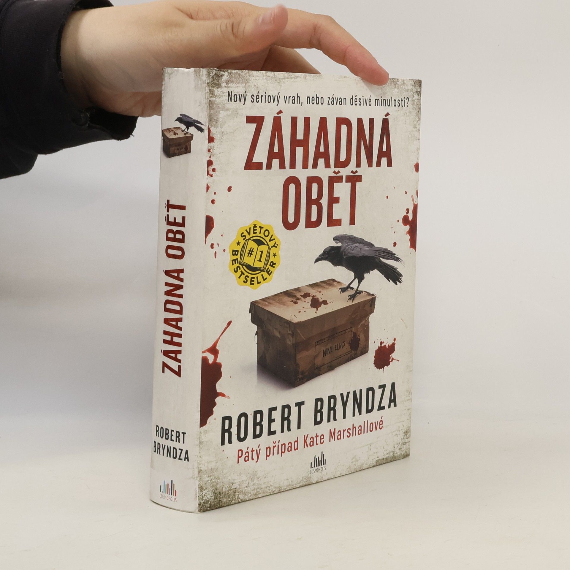 Robert Bryndza Záhadná oběť
