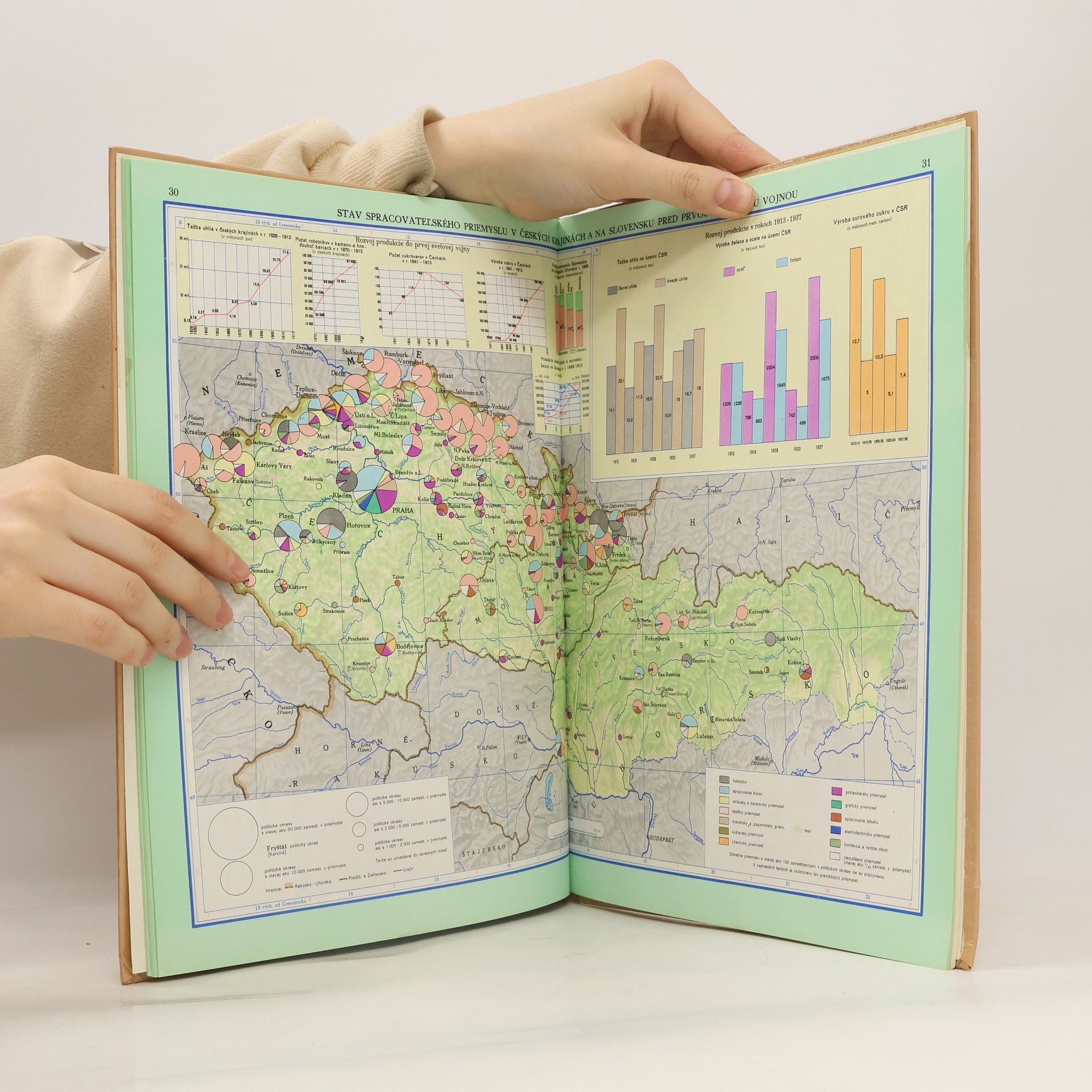 Autorenkollektiv Školský atlas Československých dejín