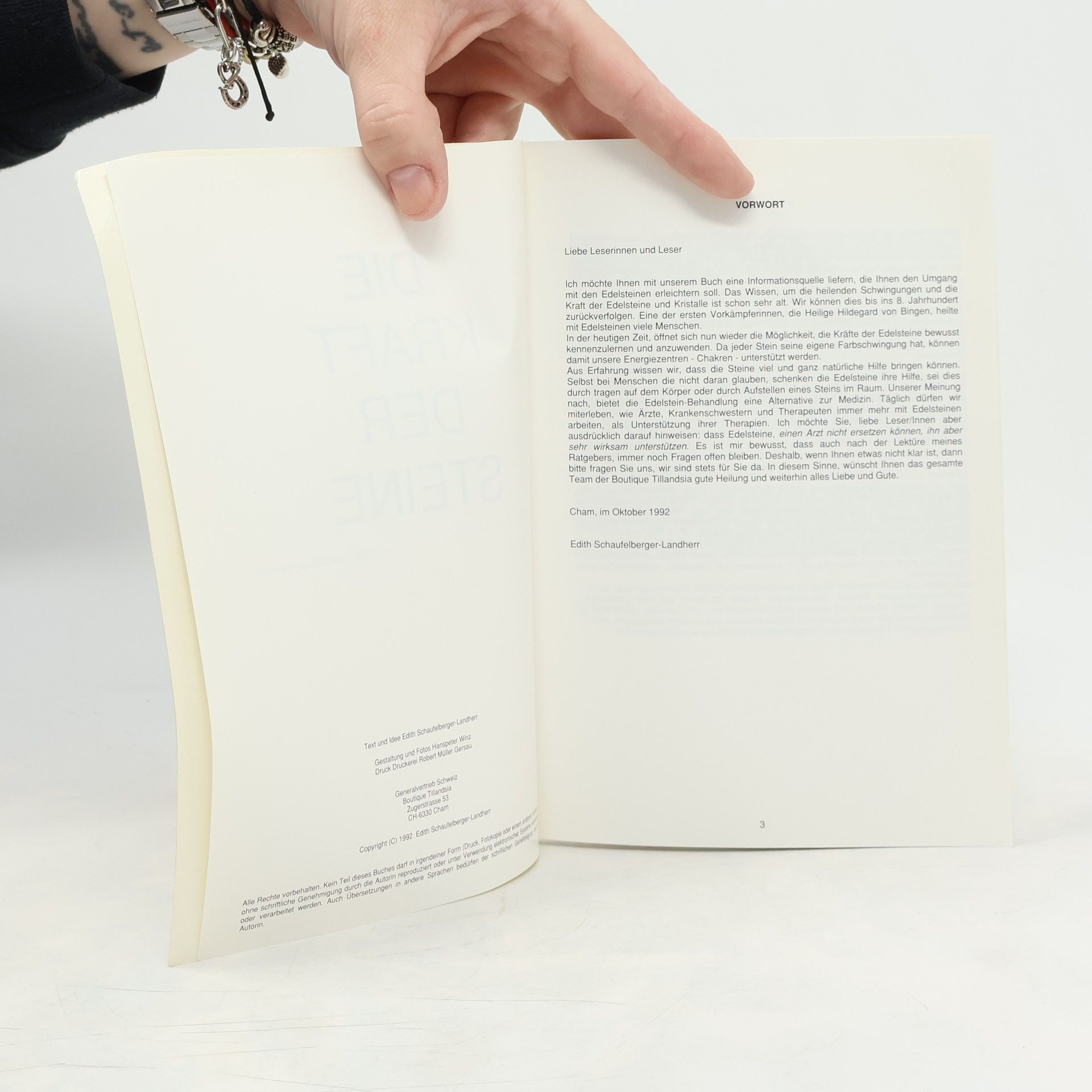 Edith Schaufelberger-Landherr Die Kraft der Steine
