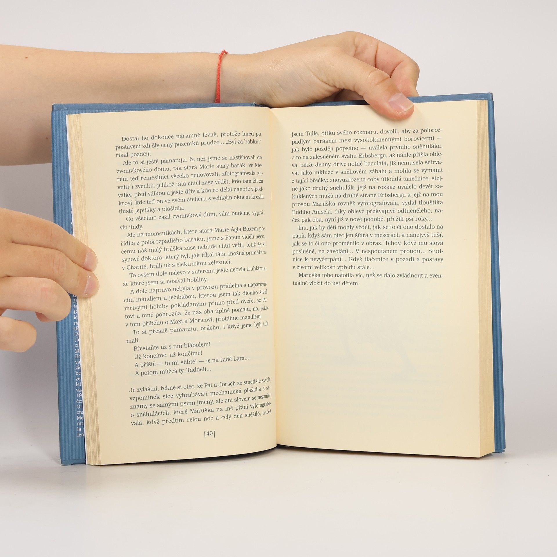 Günter Grass Příběhy z temné komory