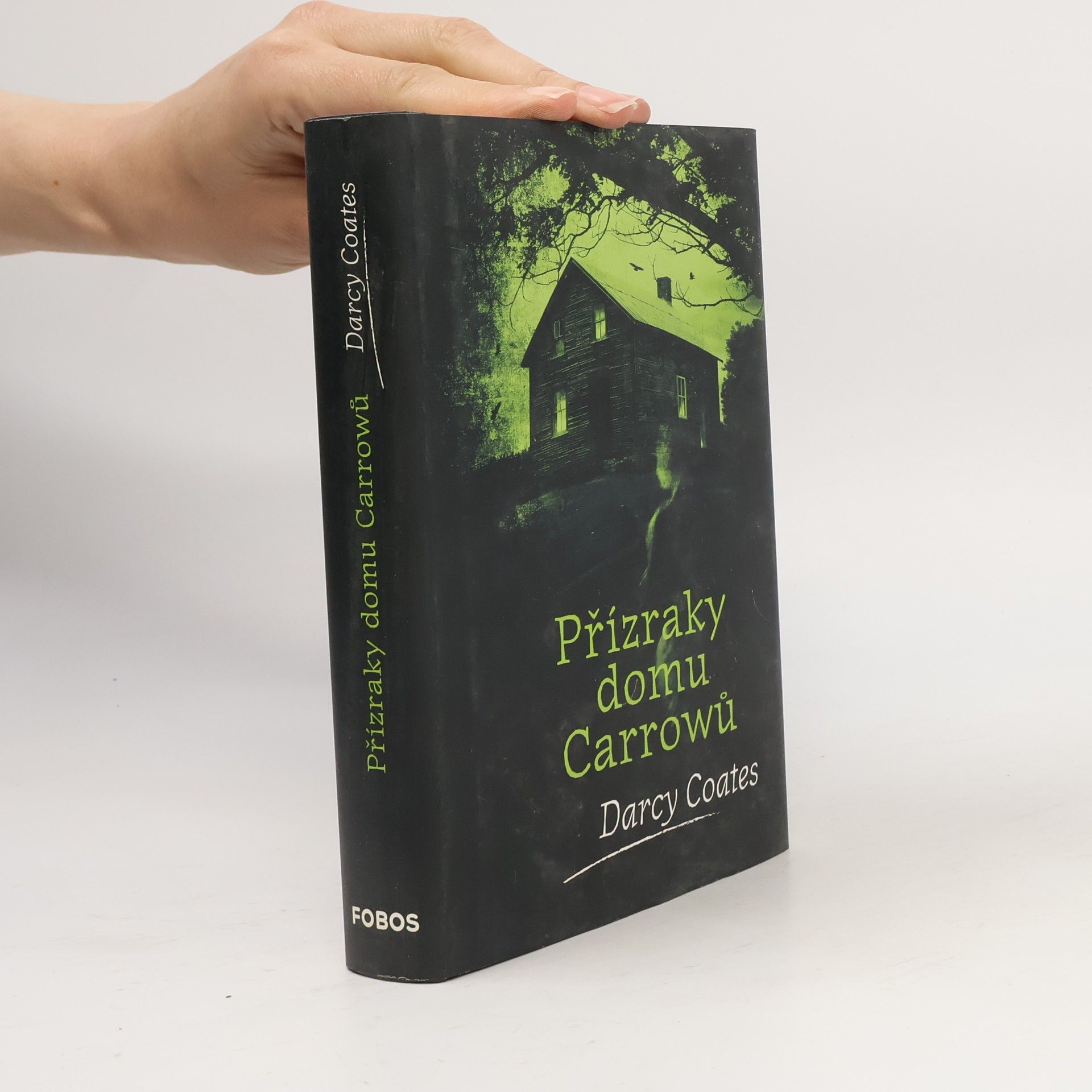 Darcy Coates Přízraky domu Carrowů