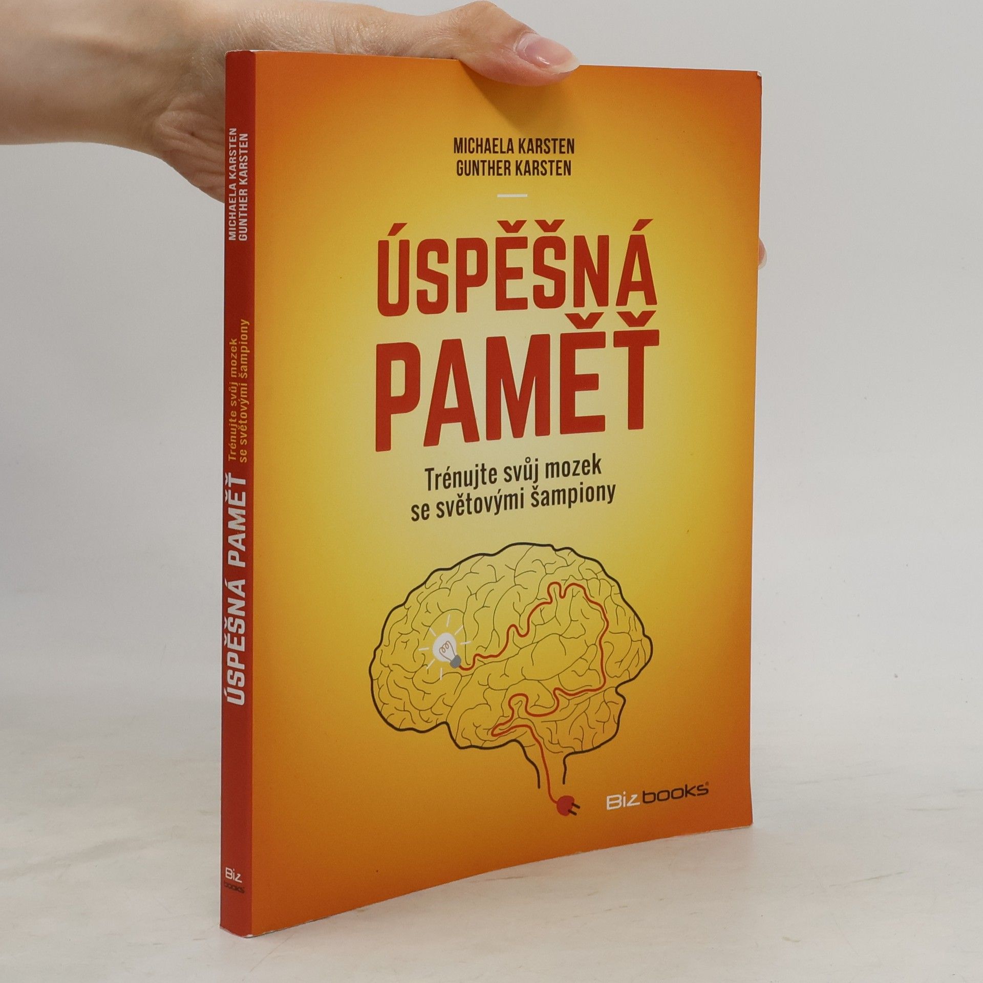 Úspěšná paměť