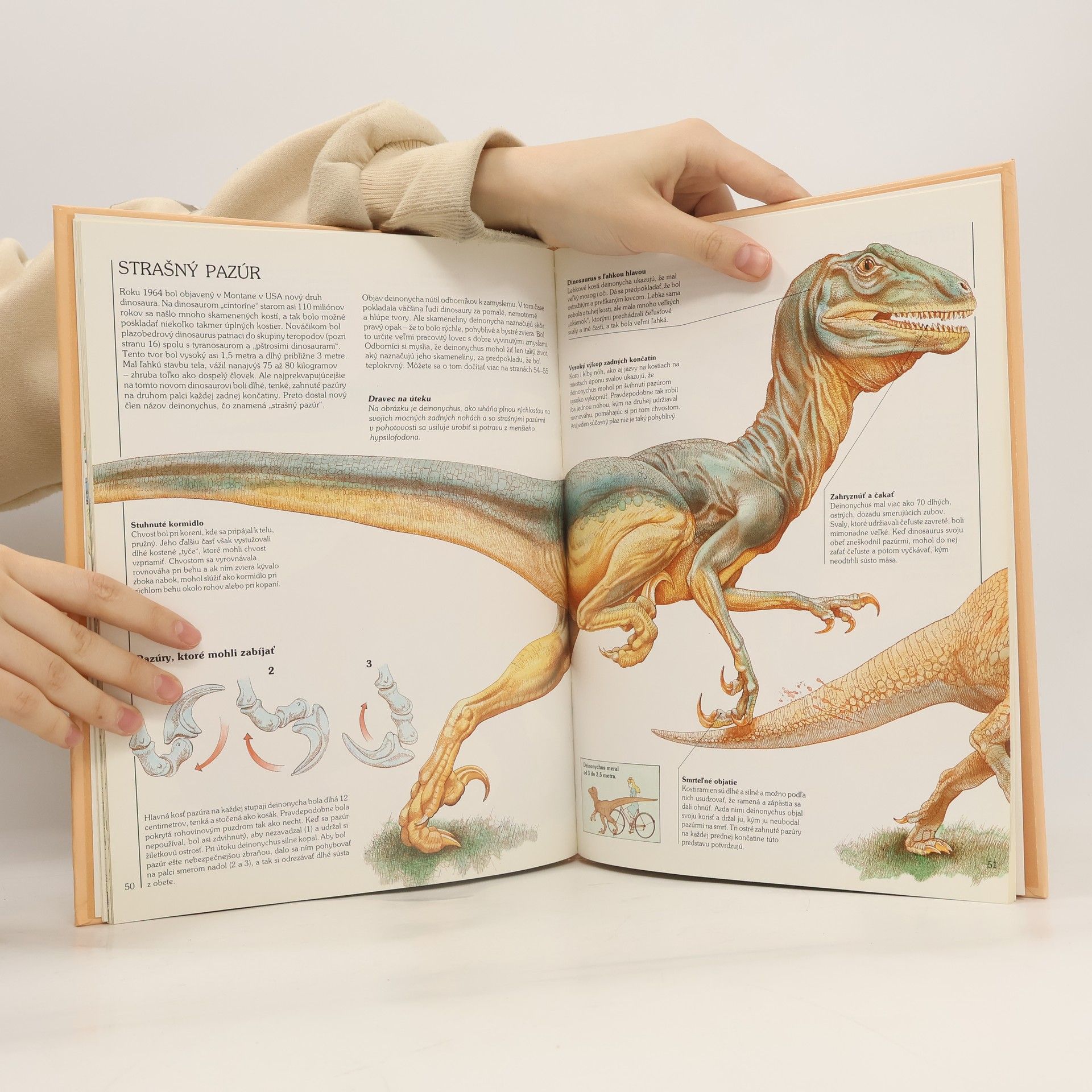 Steve Parker Ako žili dinosaury