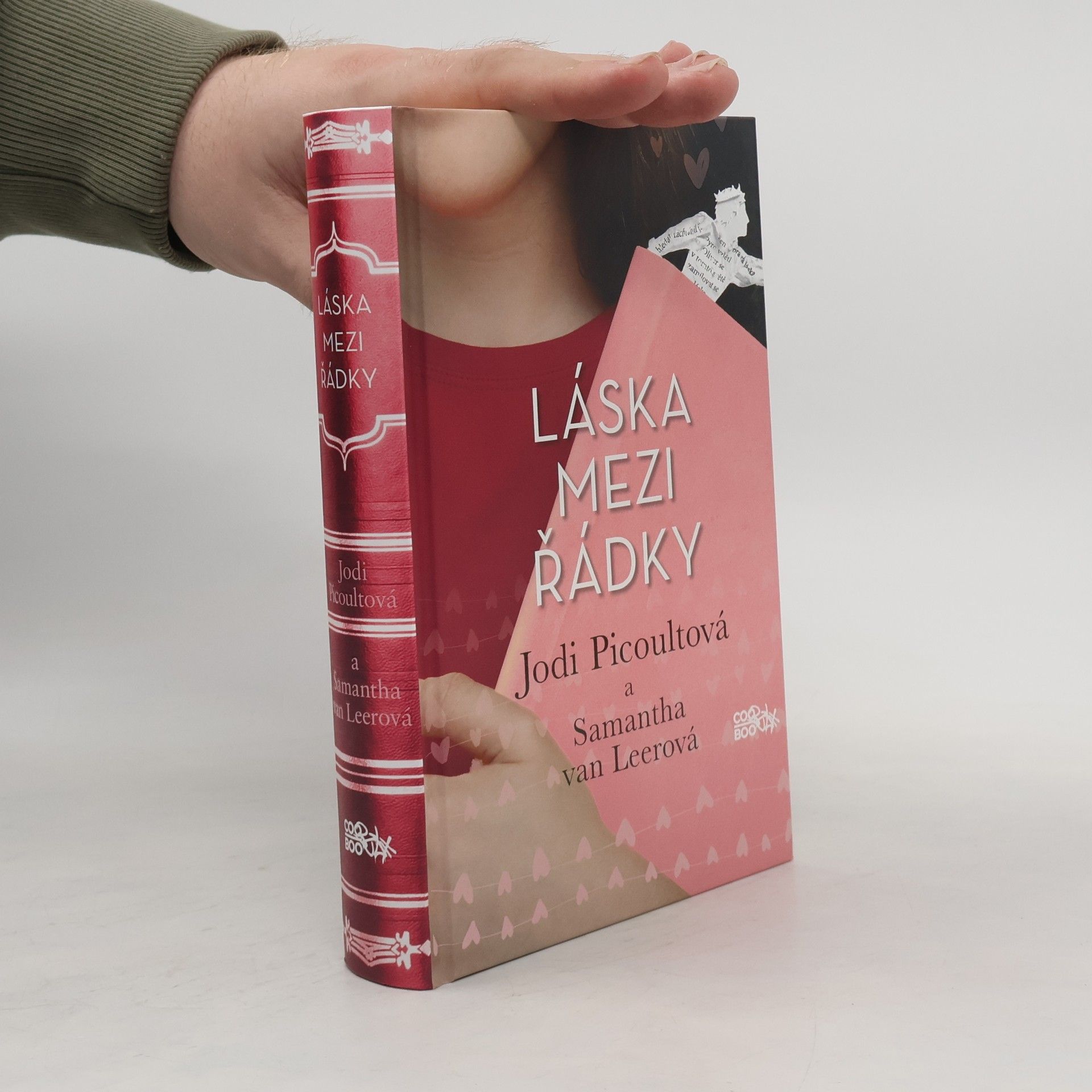 Jodi Picoult Láska mezi řádky