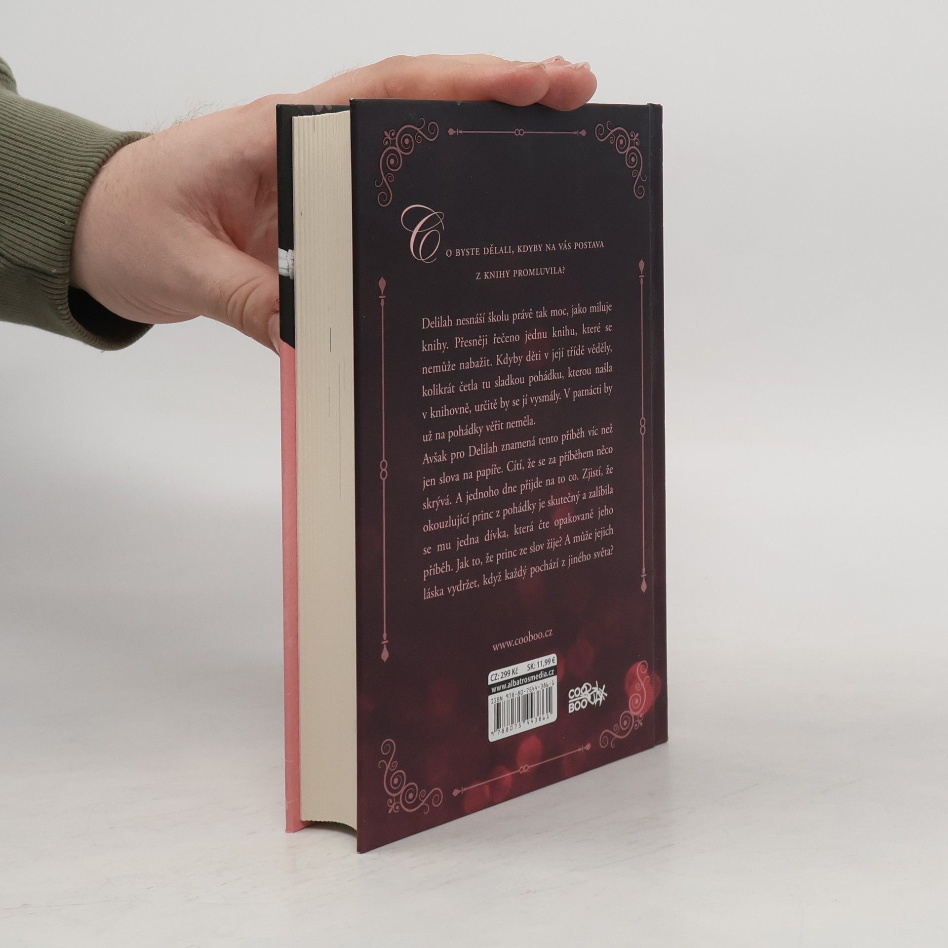 Jodi Picoult Láska mezi řádky