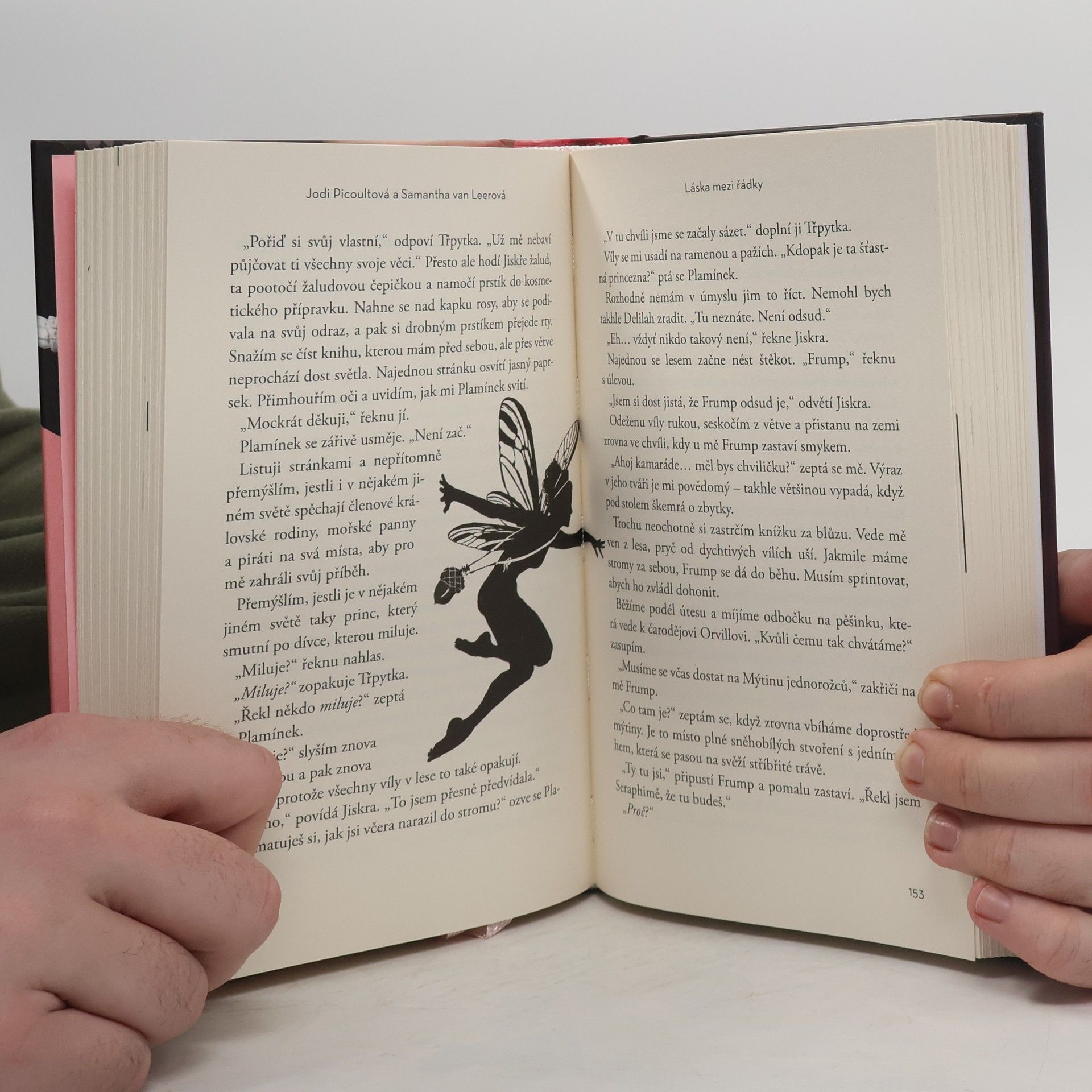 Jodi Picoult Láska mezi řádky