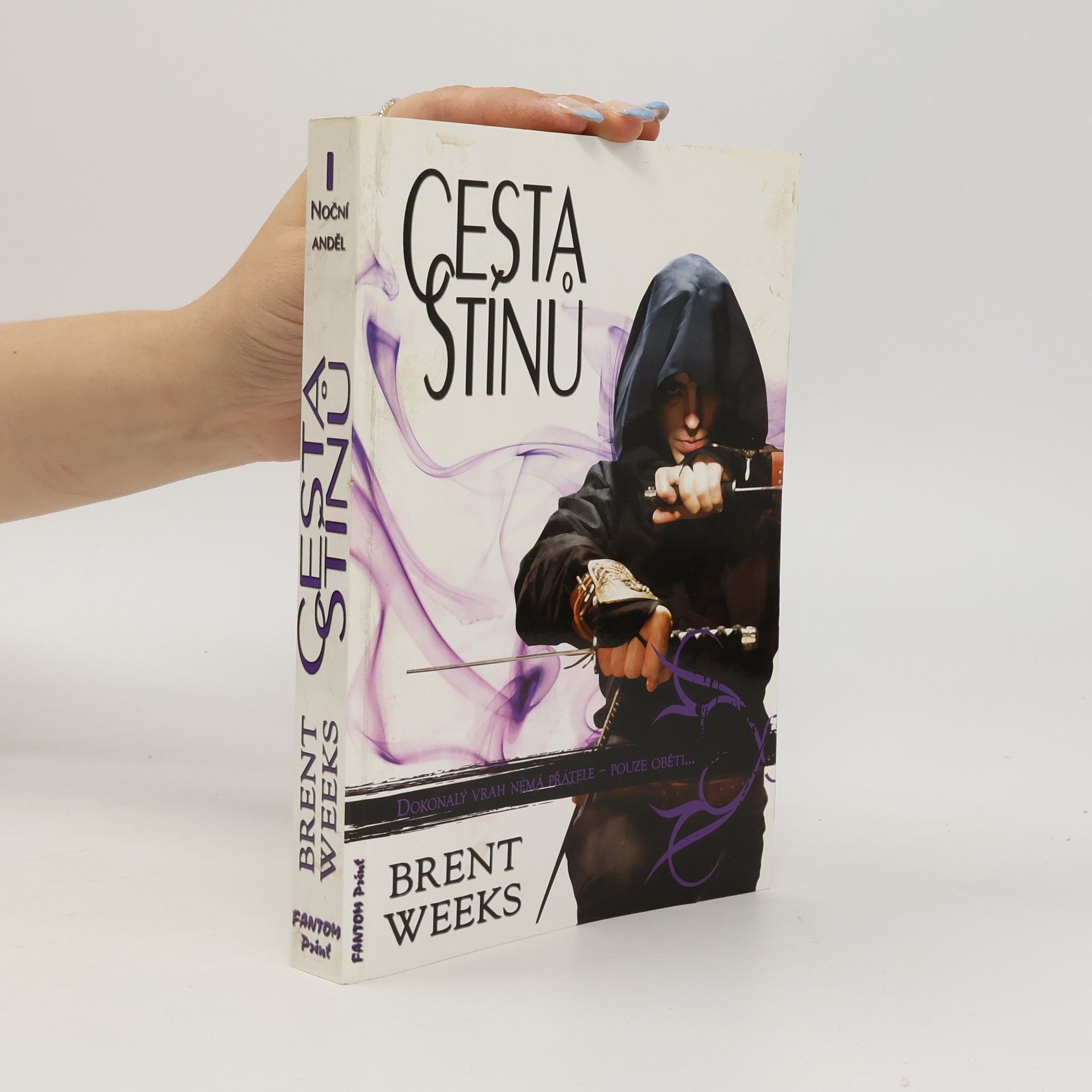Brent Weeks Cesta stínů
